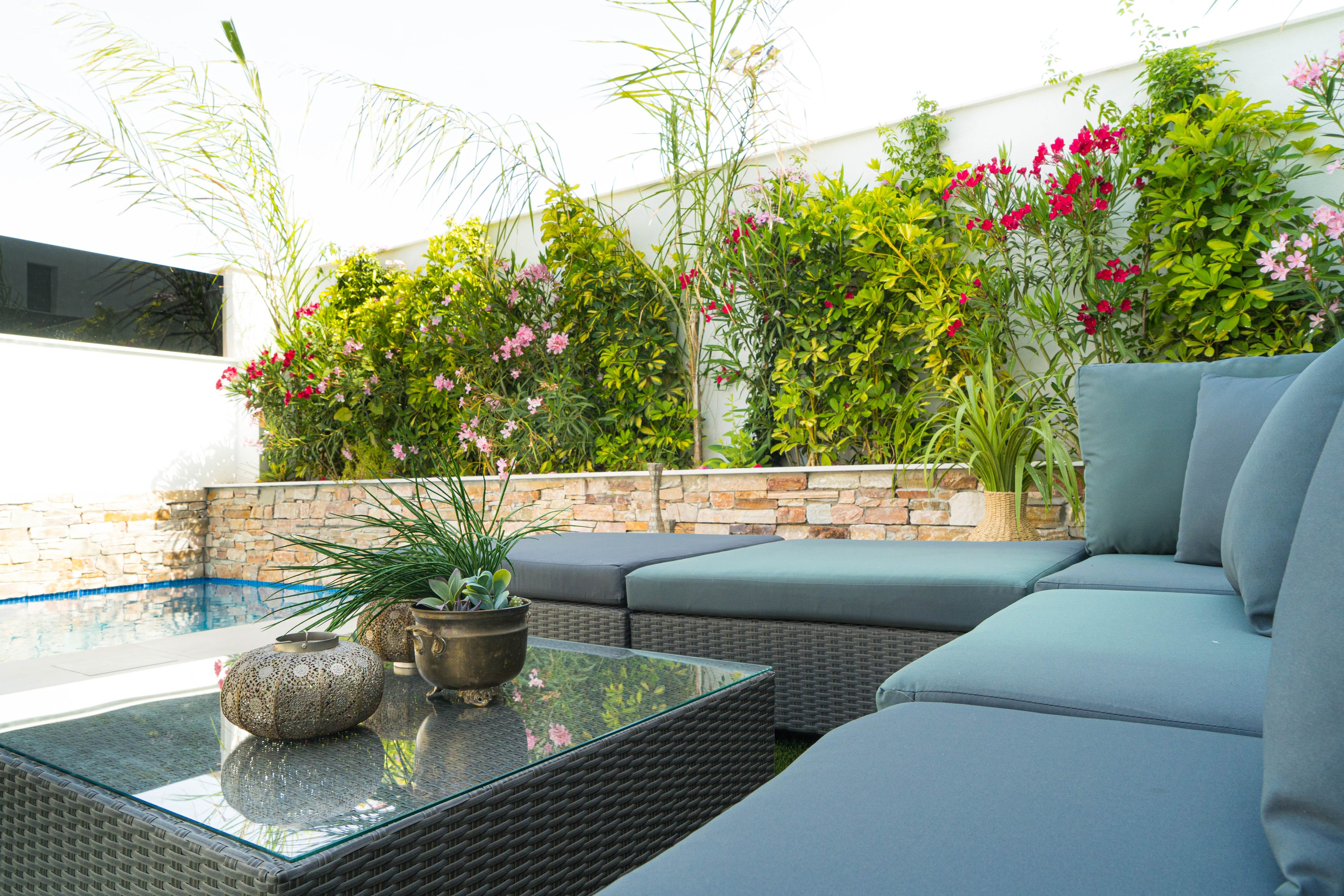 I&M GROUP villa La Paz. Baby Beast