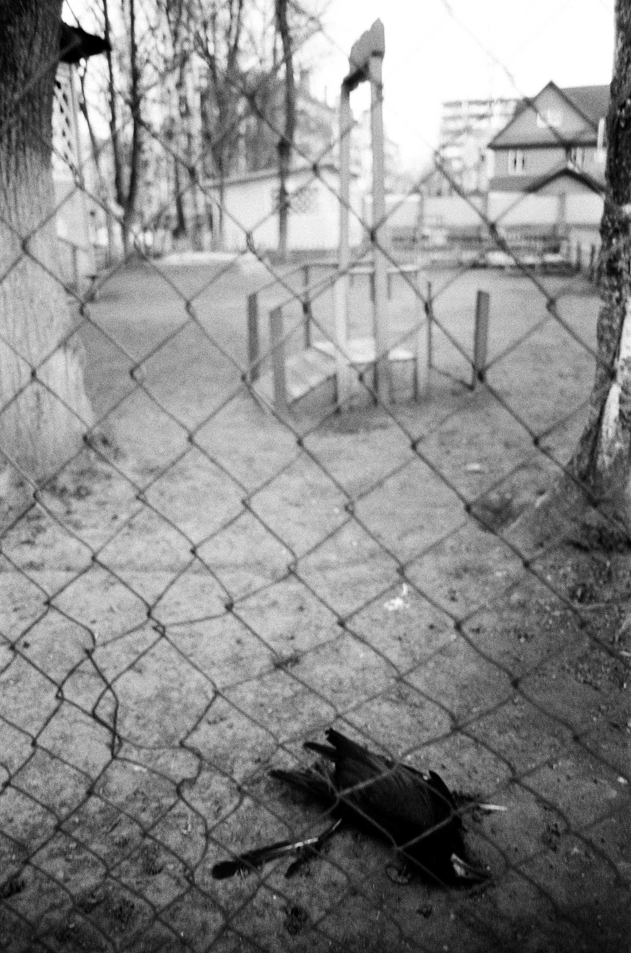 FADE. «Фотохроники»