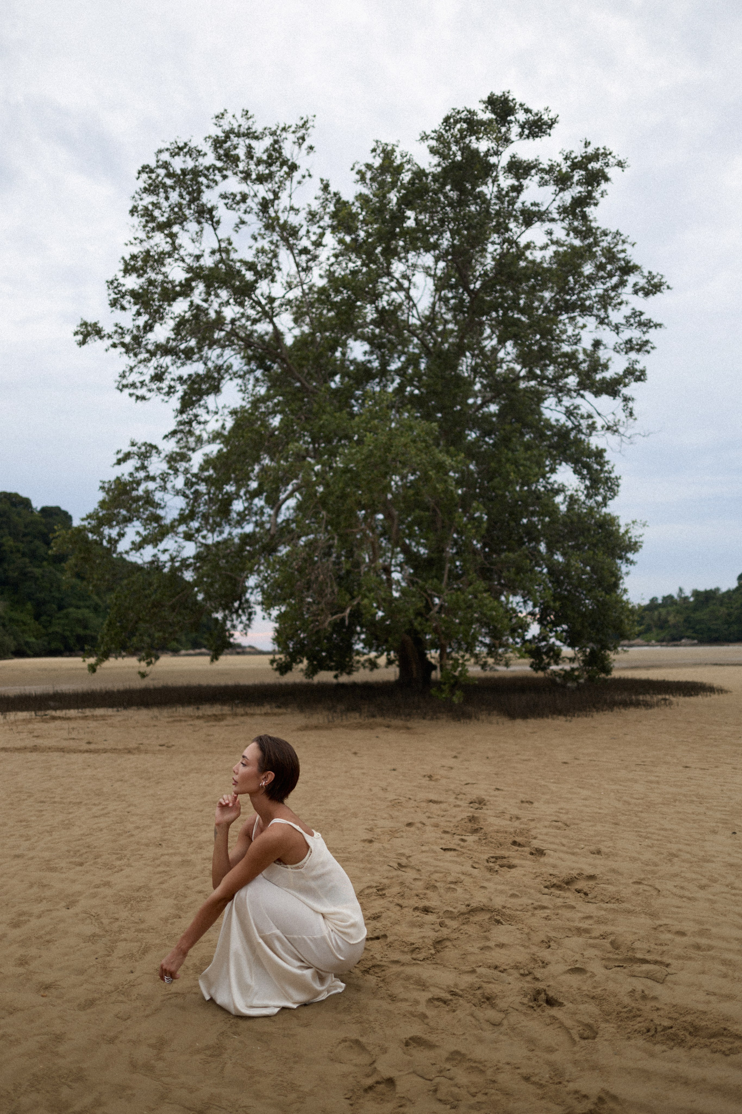 Тати. Услуги