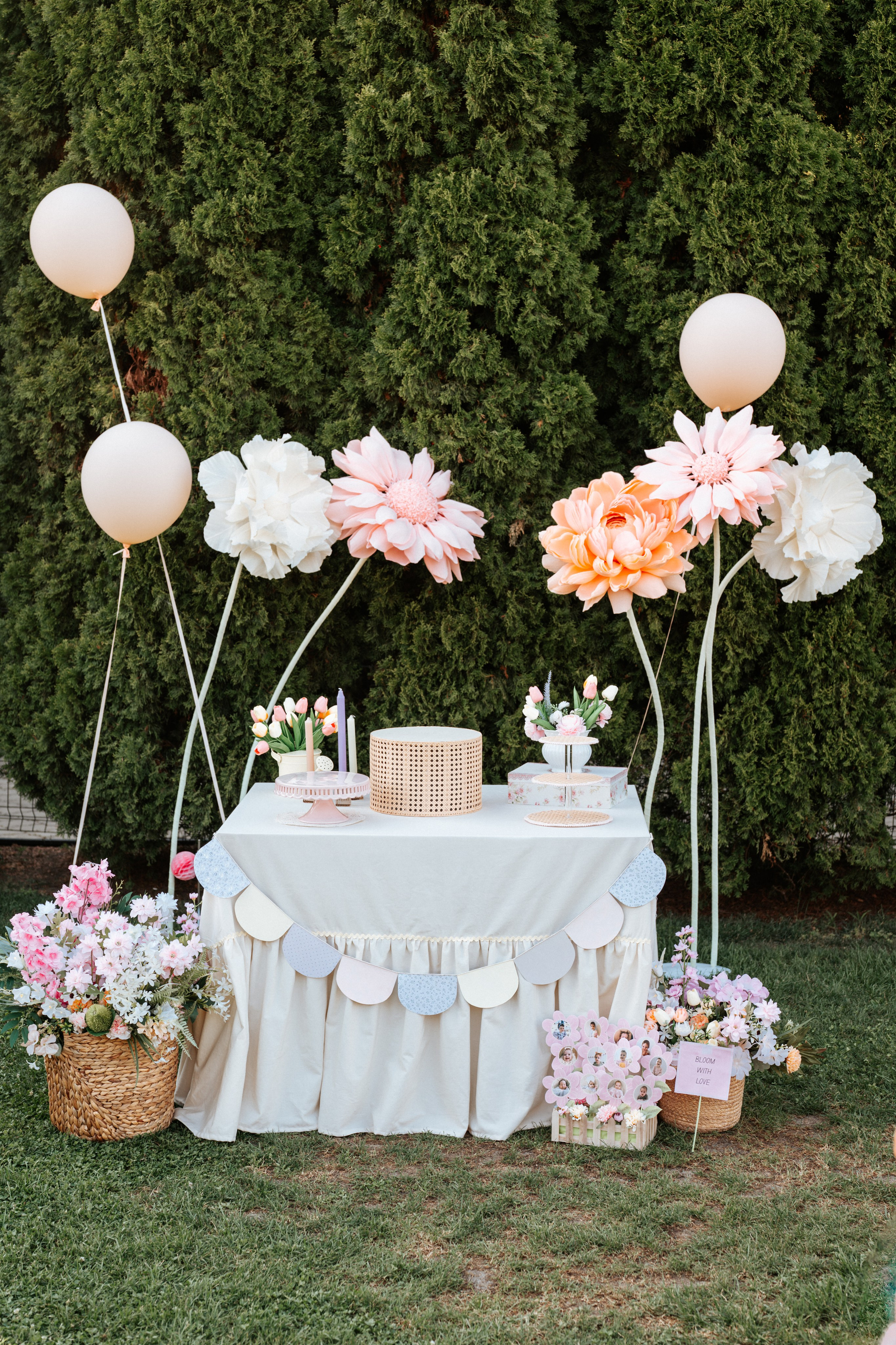 Sofia - 1. rođendan. Dečiji i porodični fotograf