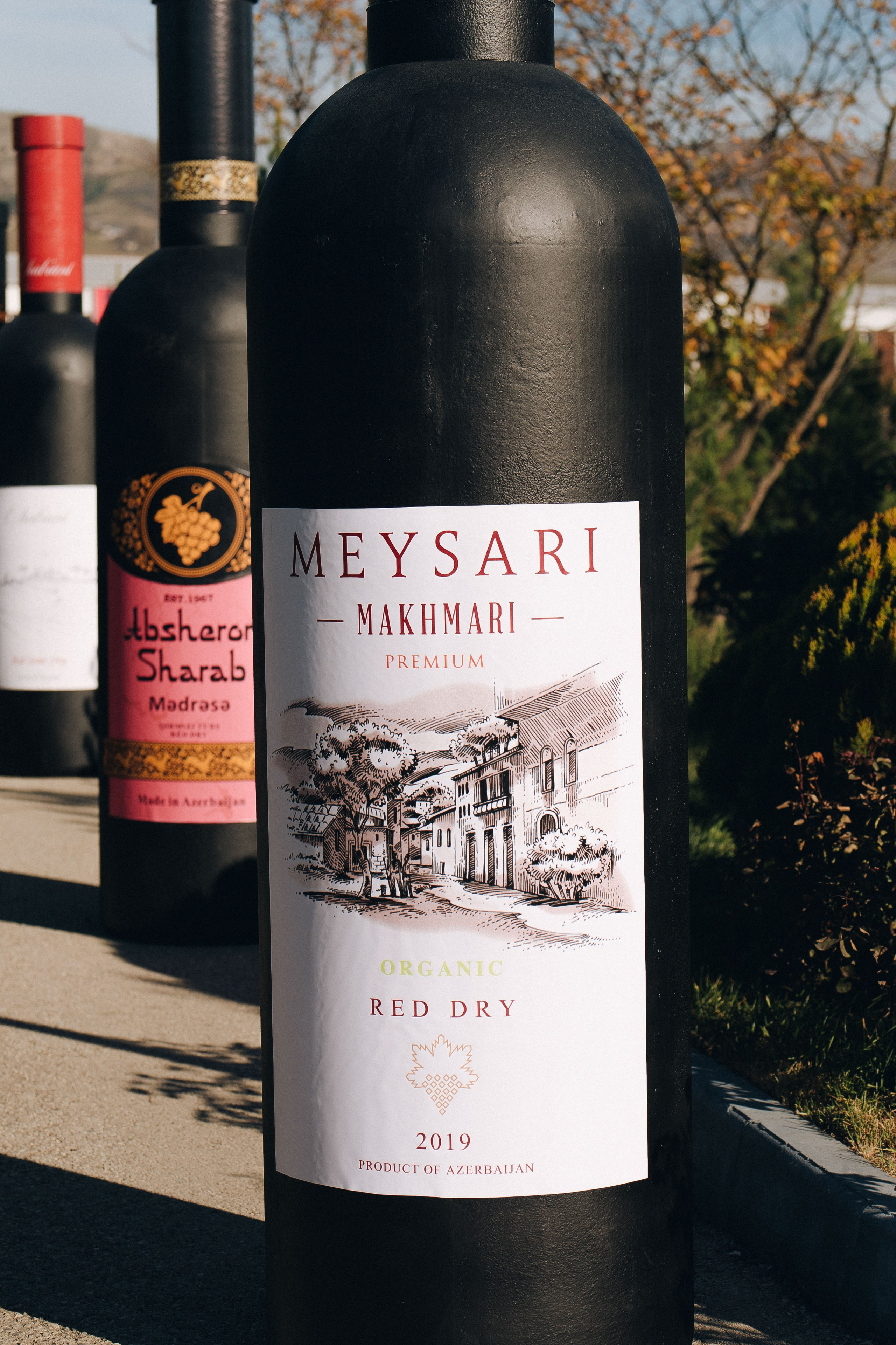 MEYSARI WINE FESTIVAL. Wedding&Event photographer Ismail Rzayev in Baku
