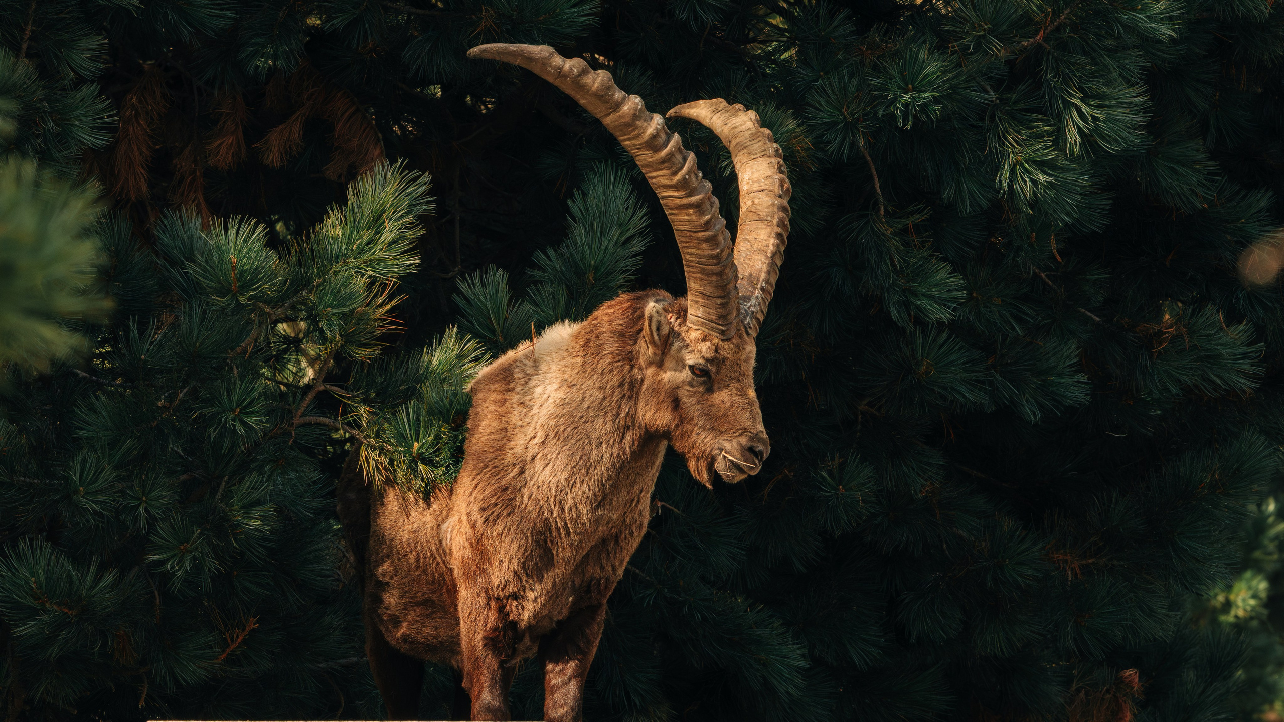 Lutsenko Visuals — Photography & Visual Content