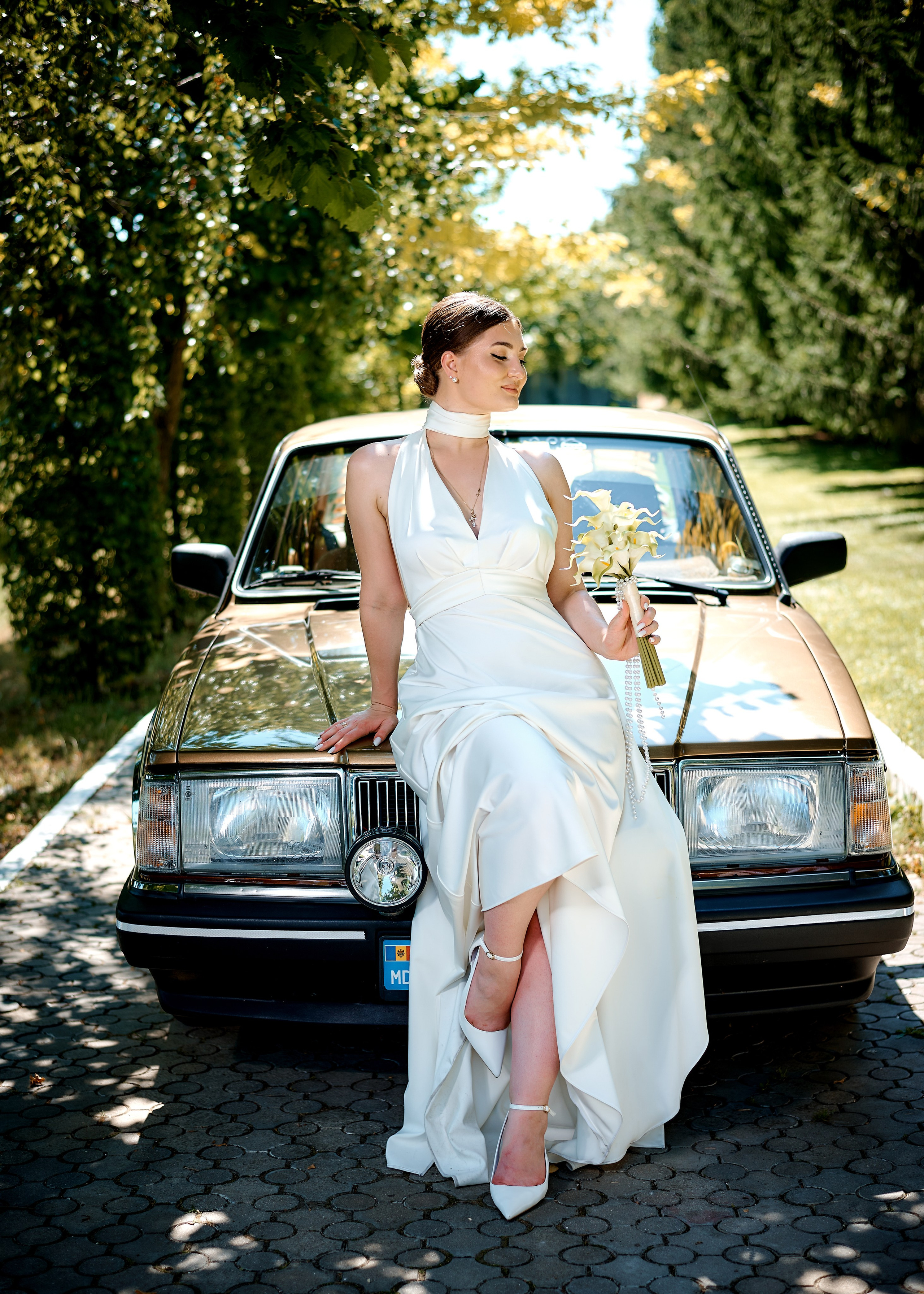 Nicolae & Ilinca. Excellens