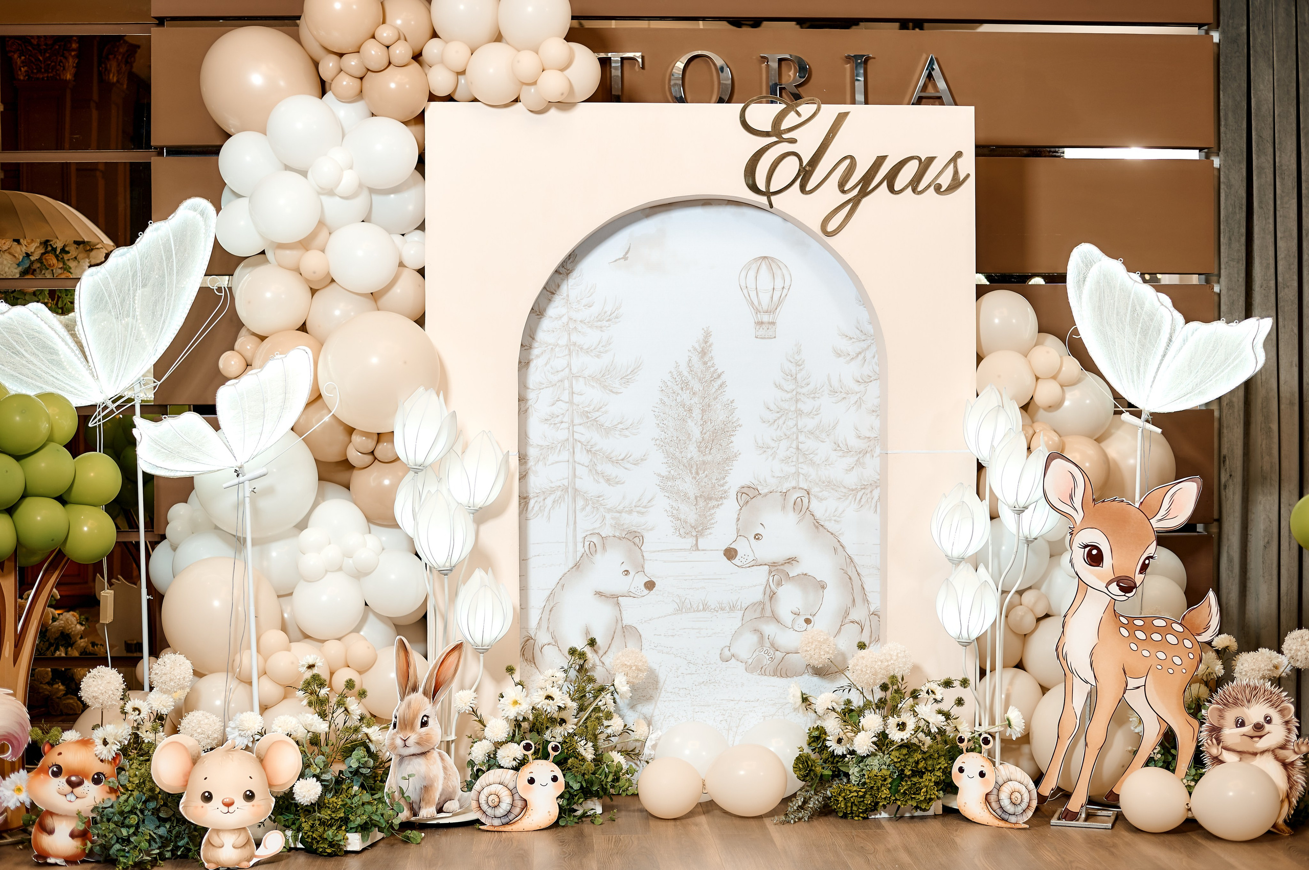 Cumetria Elyas. Excellens