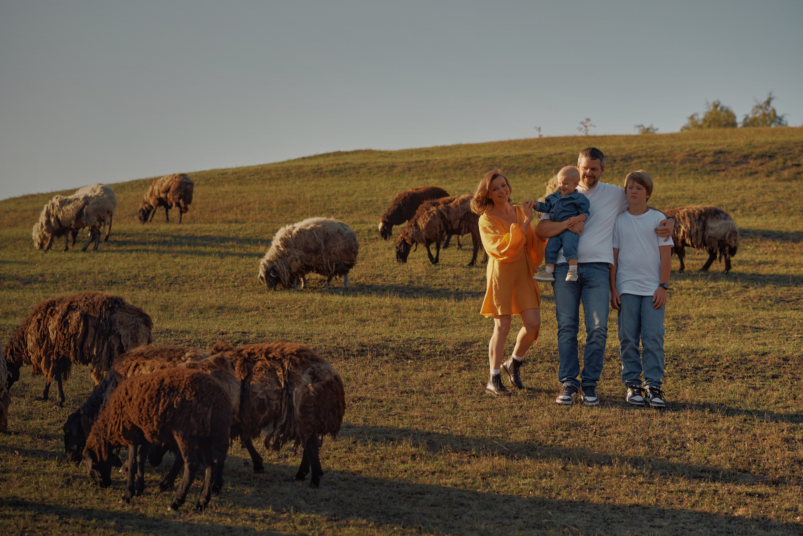 Sesja zdjęciowa na farmie z owcami | Fotograf Warszawa. Portrait & Fashion Photographer | Сannes, Paris, Monaco, Dubai, Kyiv — - Alisa Postnykova