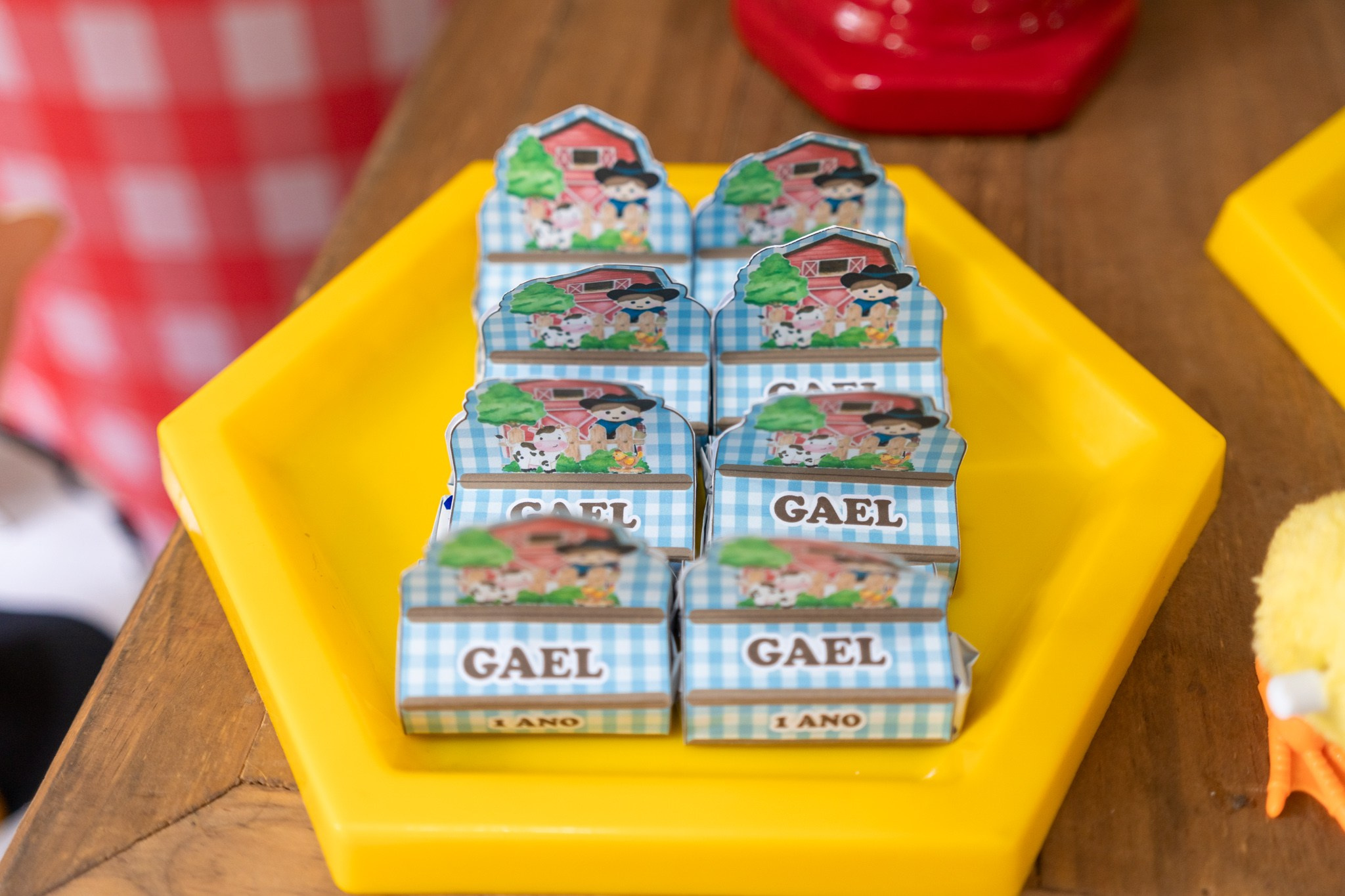 Gael 1 ano — 21/12/2024. Luiz Medeiros Produções