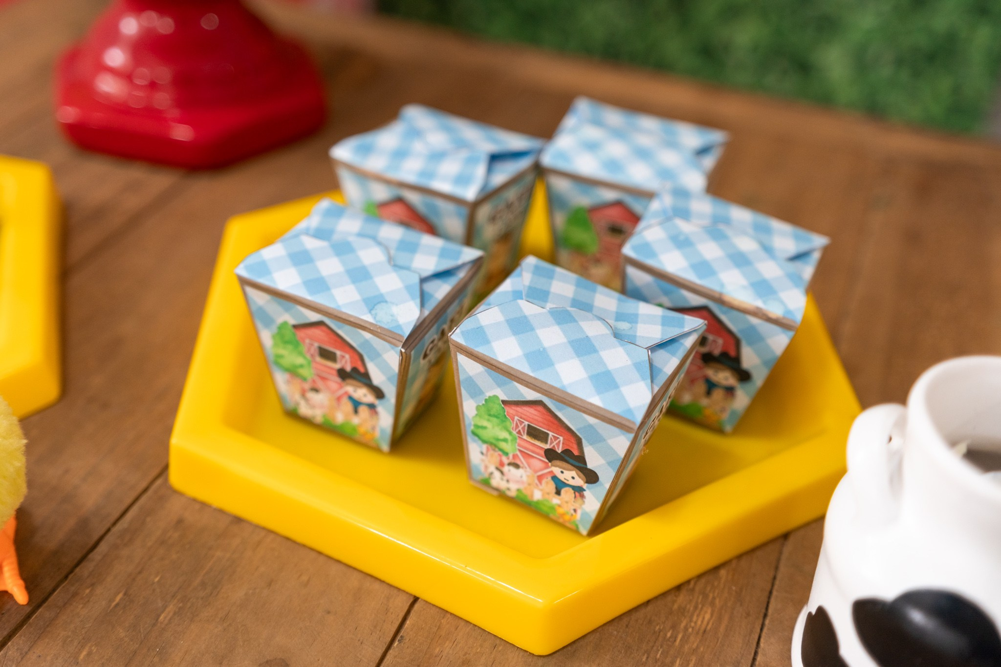 Gael 1 ano — 21/12/2024. Luiz Medeiros Produções