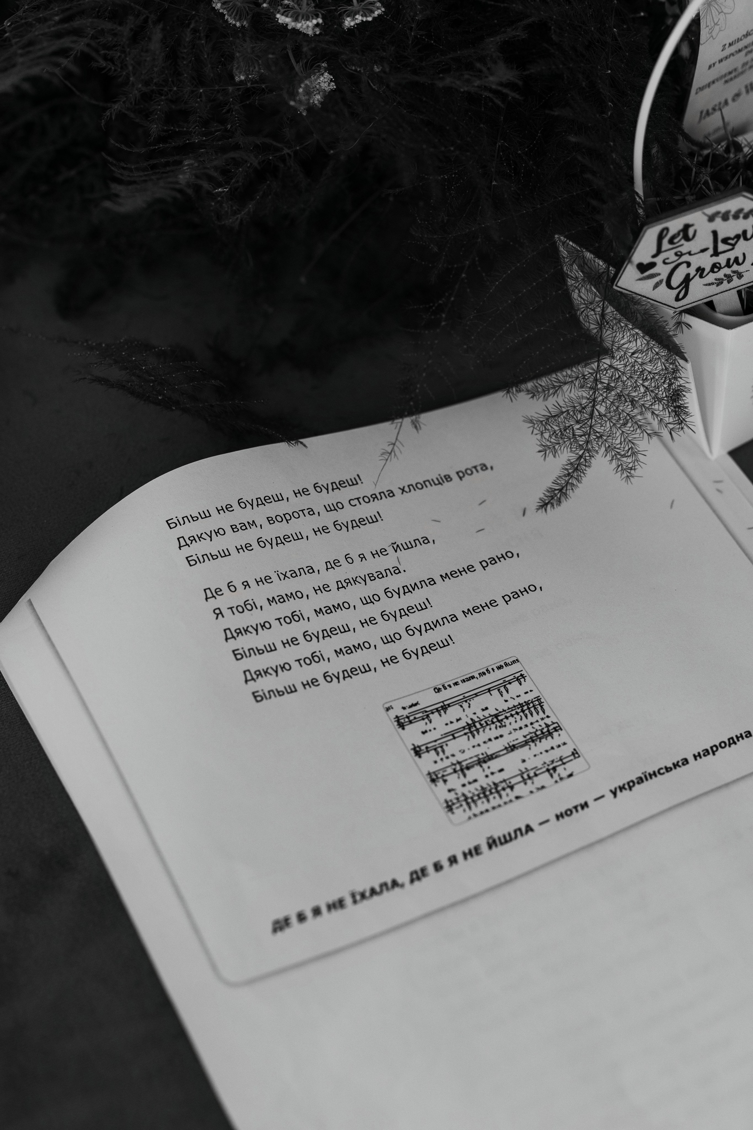 Janina & Wladek. Dworzyszcze Wola. 23.07.2025. Fotograf ślubny i rodzinny w Krakowie Yana Klymova