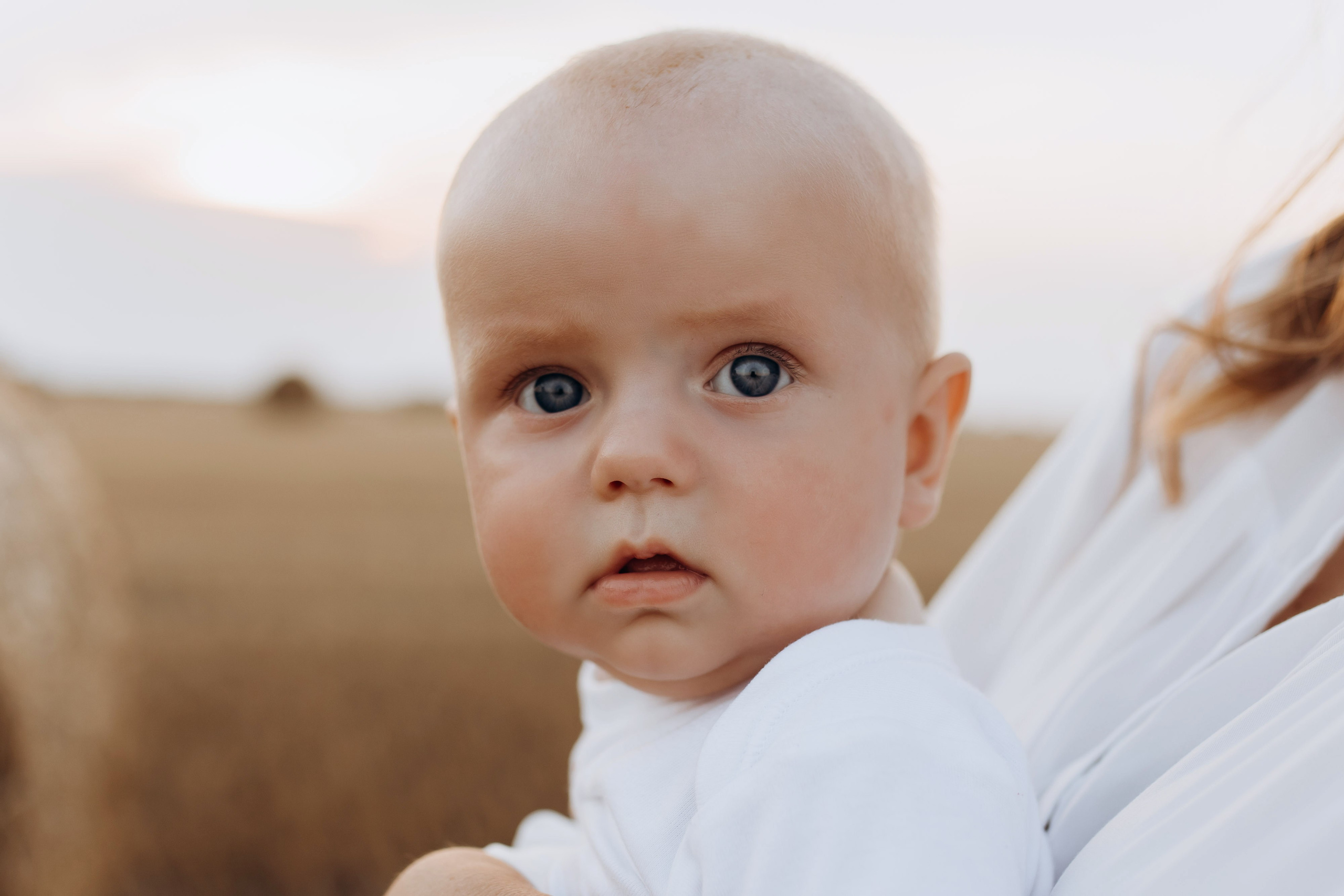 Родина Сарапіних. Ірина Терещук