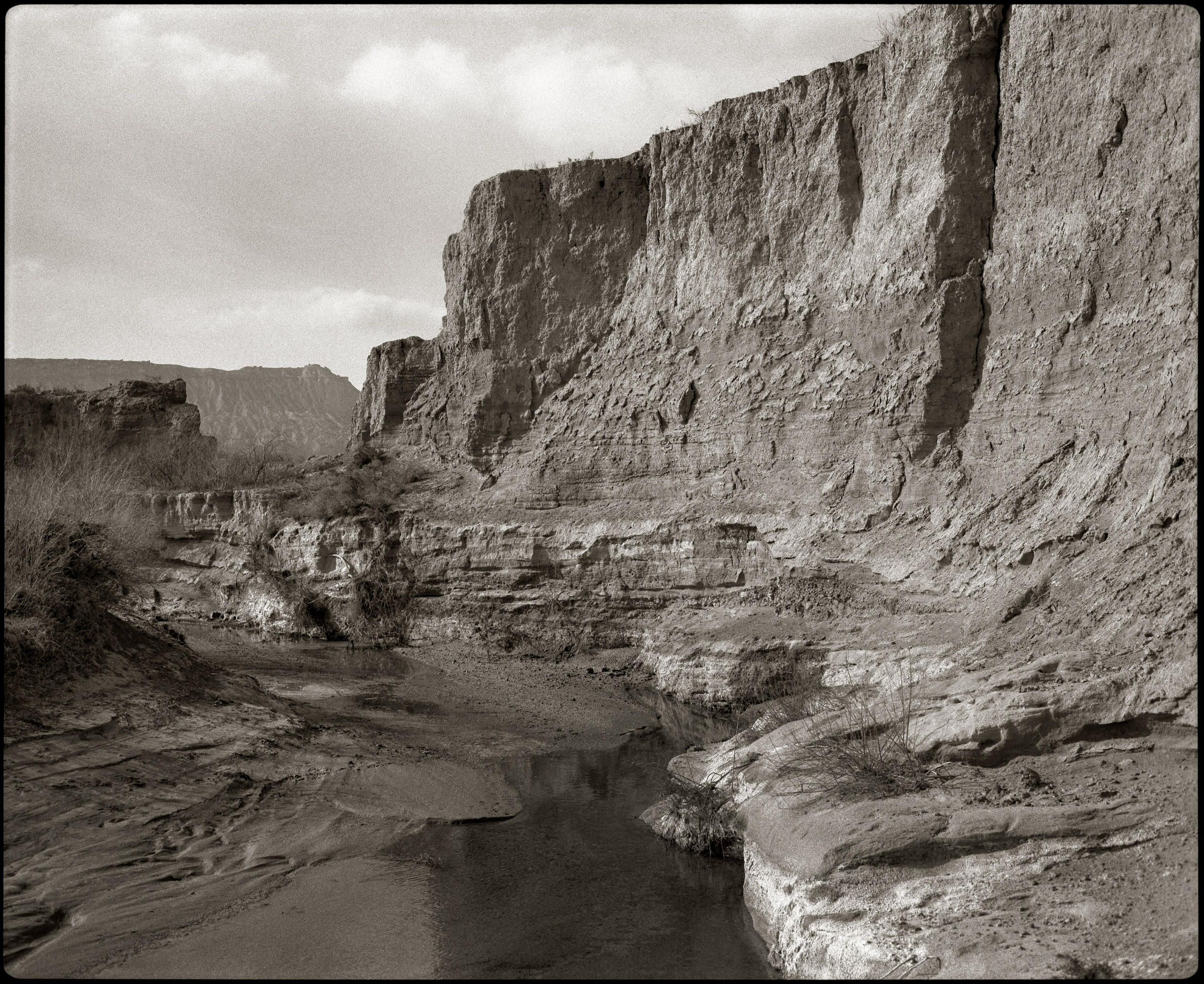 NATURE. Www.sananaleskerov.com