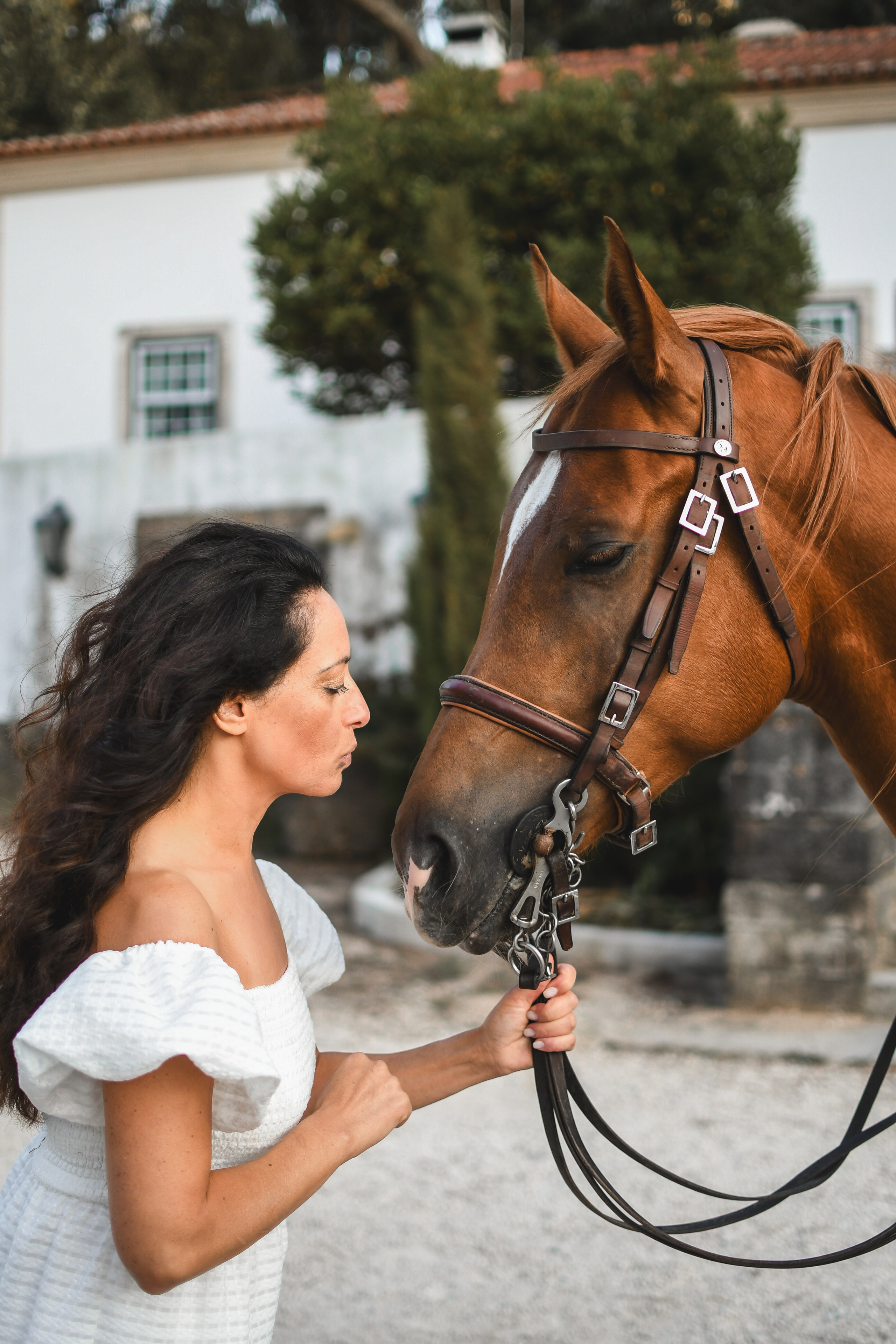 Horses. Niaferreiraphotography