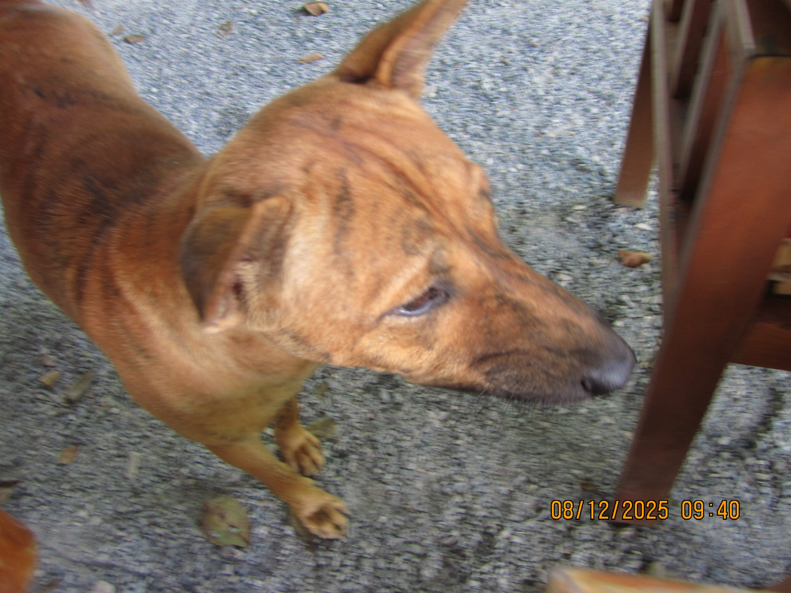 Четырнадцатый день. LondoSpeed Photography