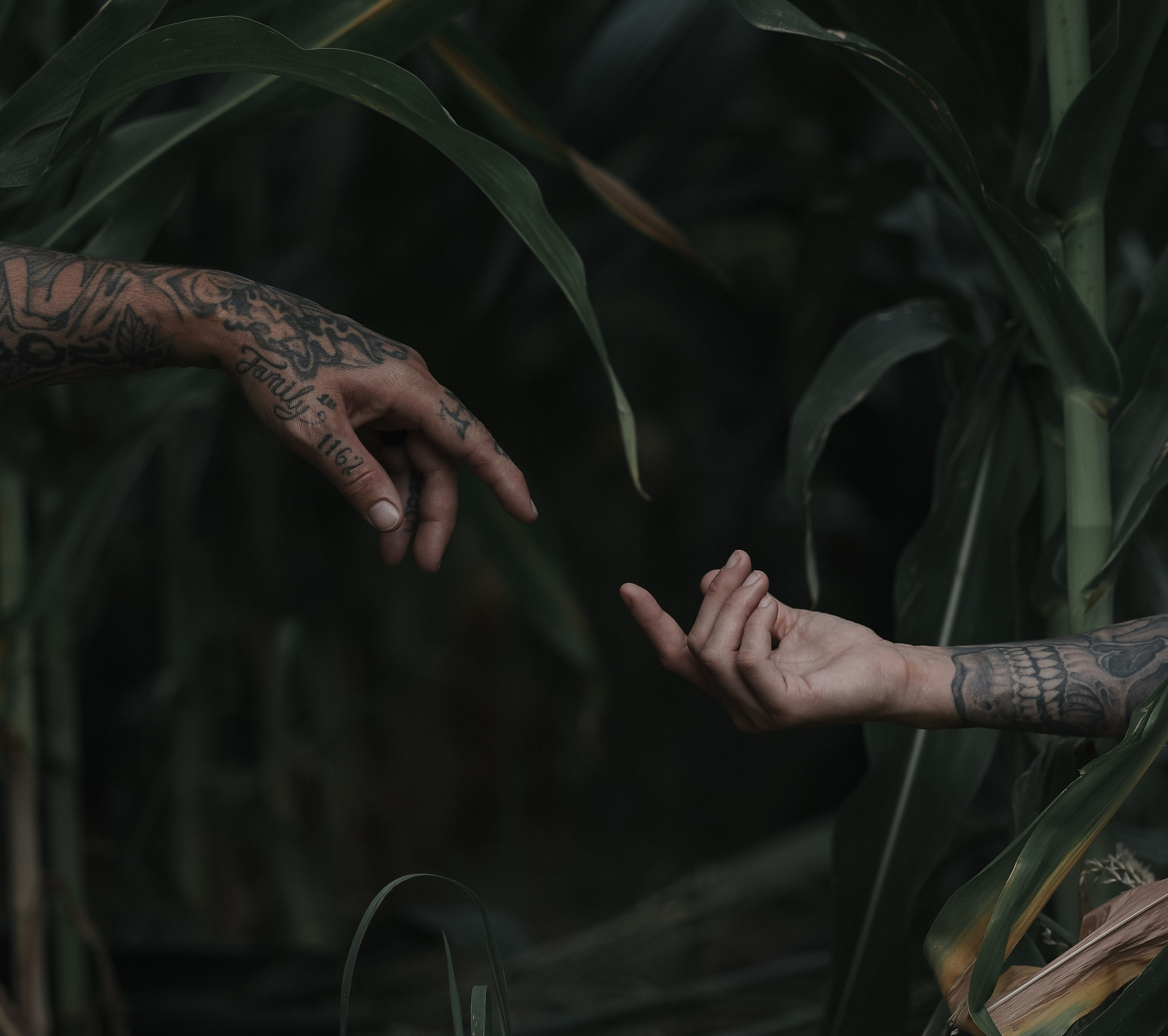 Love story. Kovyphoto