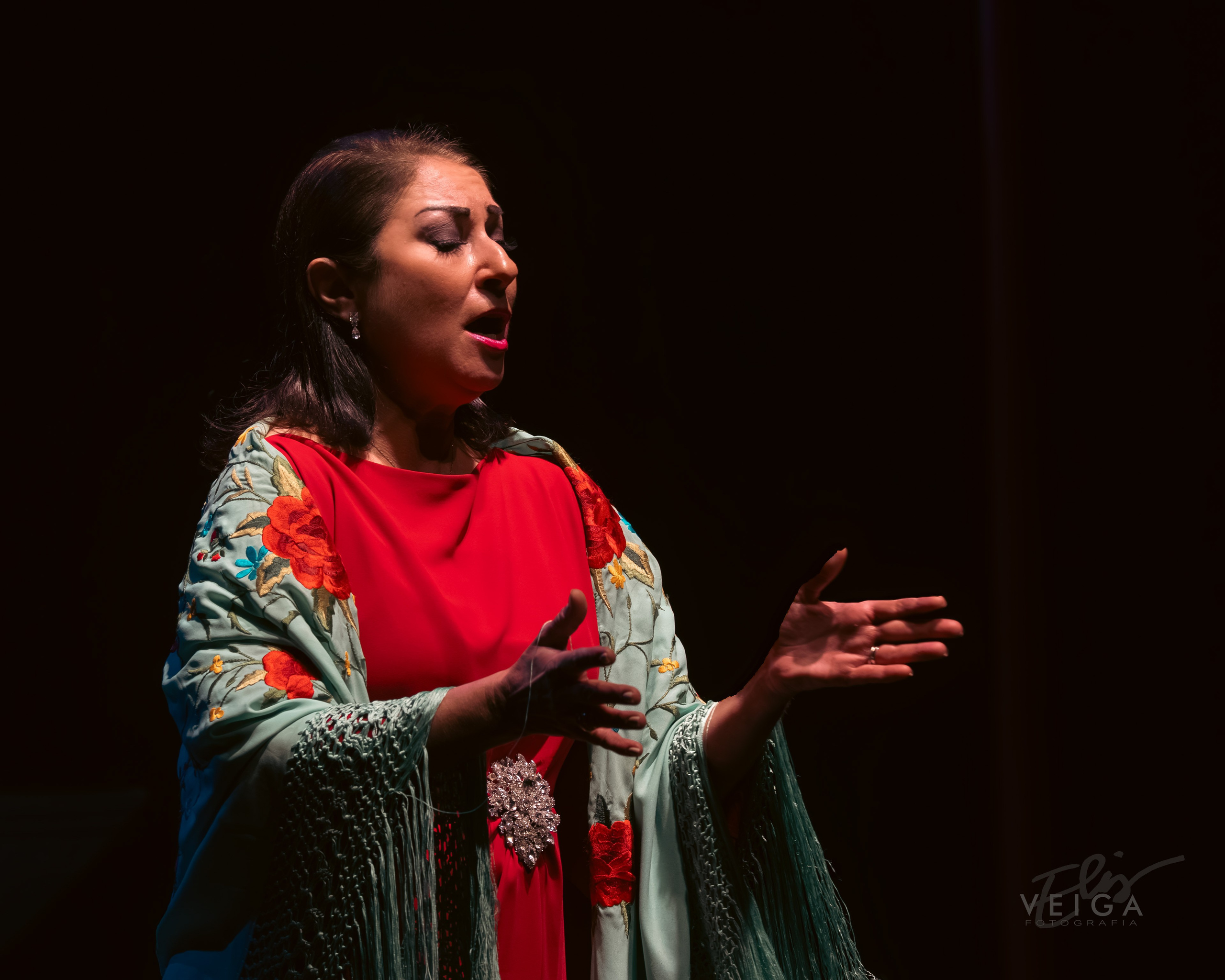 Conciertos_Clasica_Cust. Elisveiga