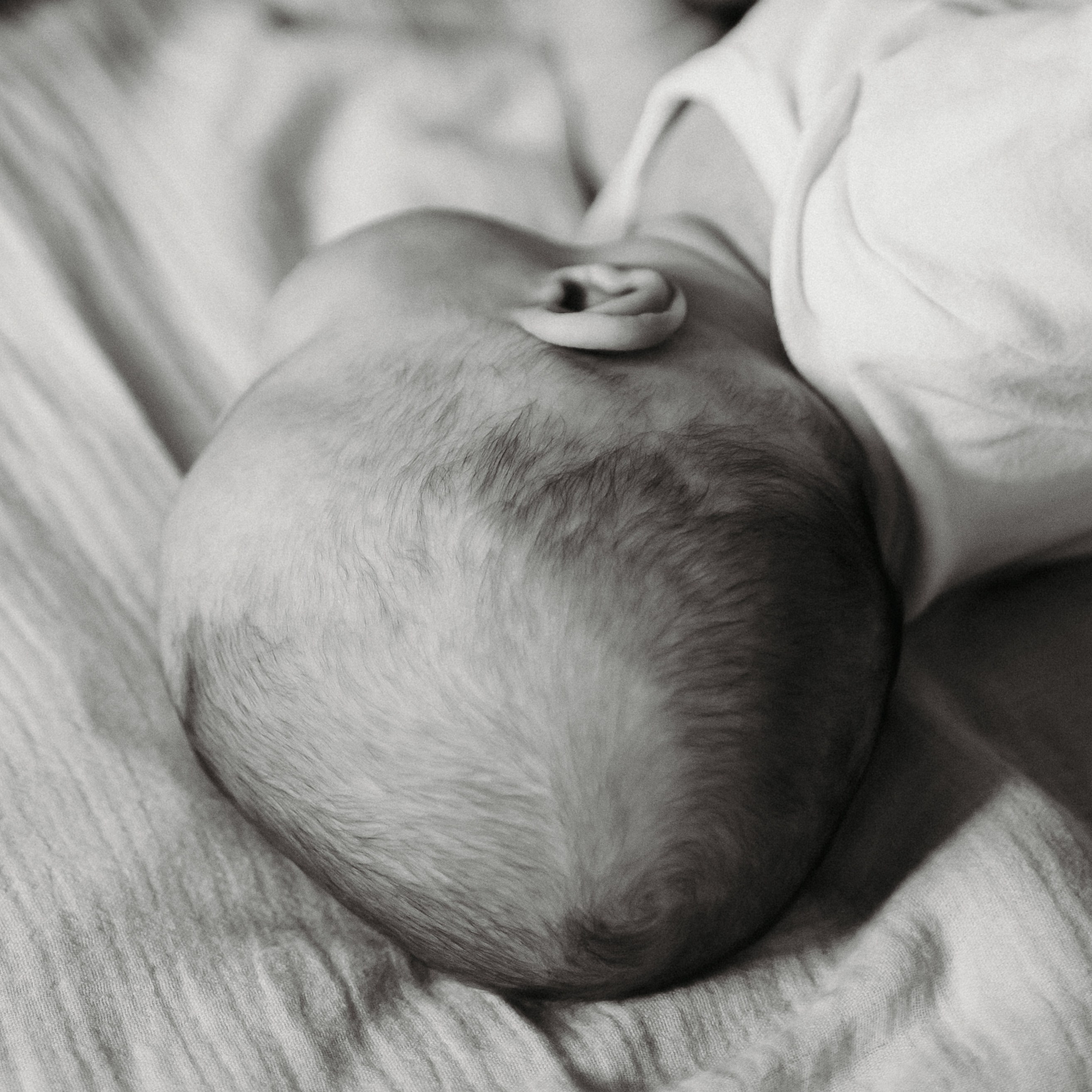 Home shooting. Elena Gorobets. Photographer in Zagreb