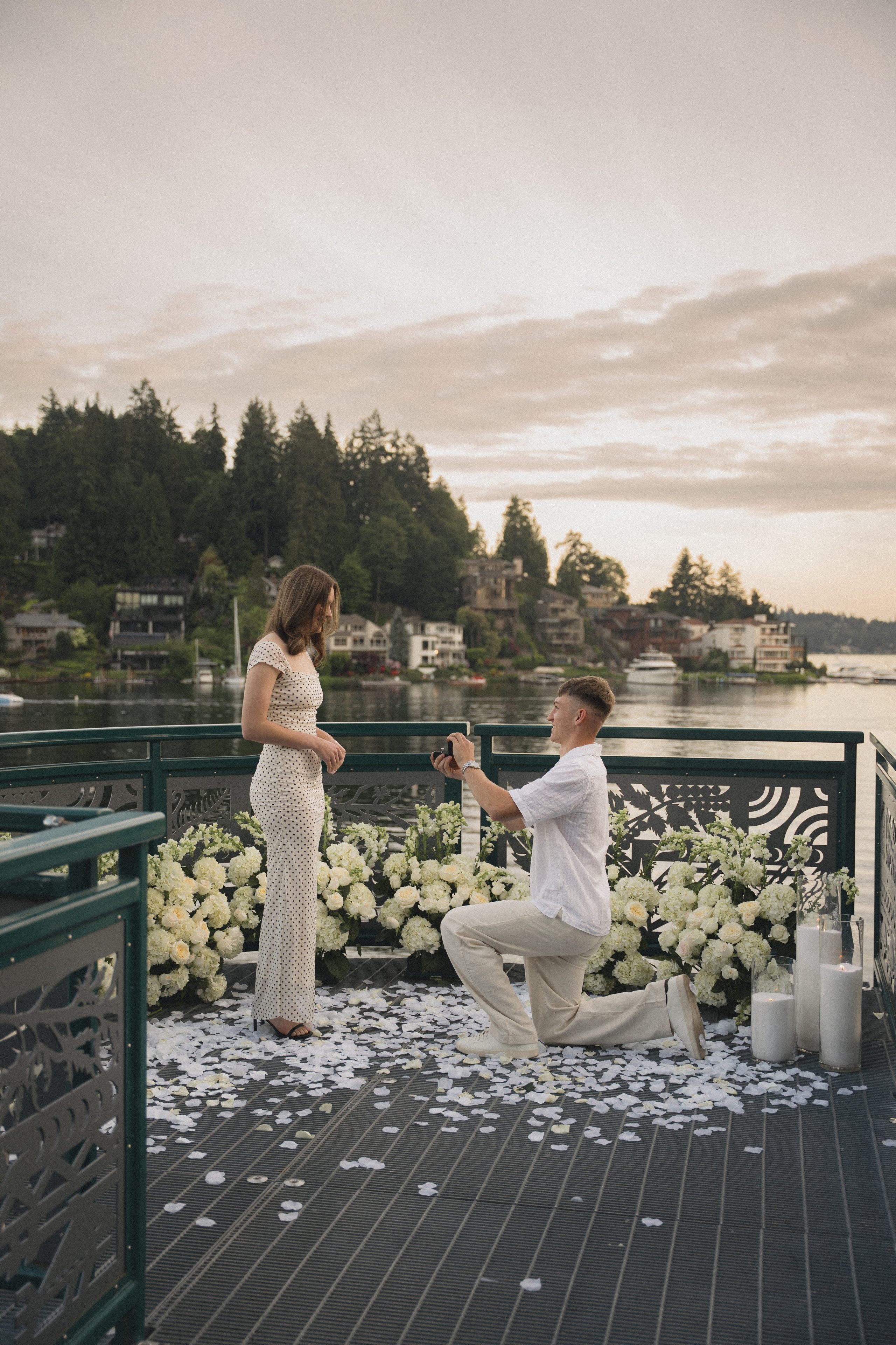 Ilya and Olena proposal. Photographer in Washington Sophia D