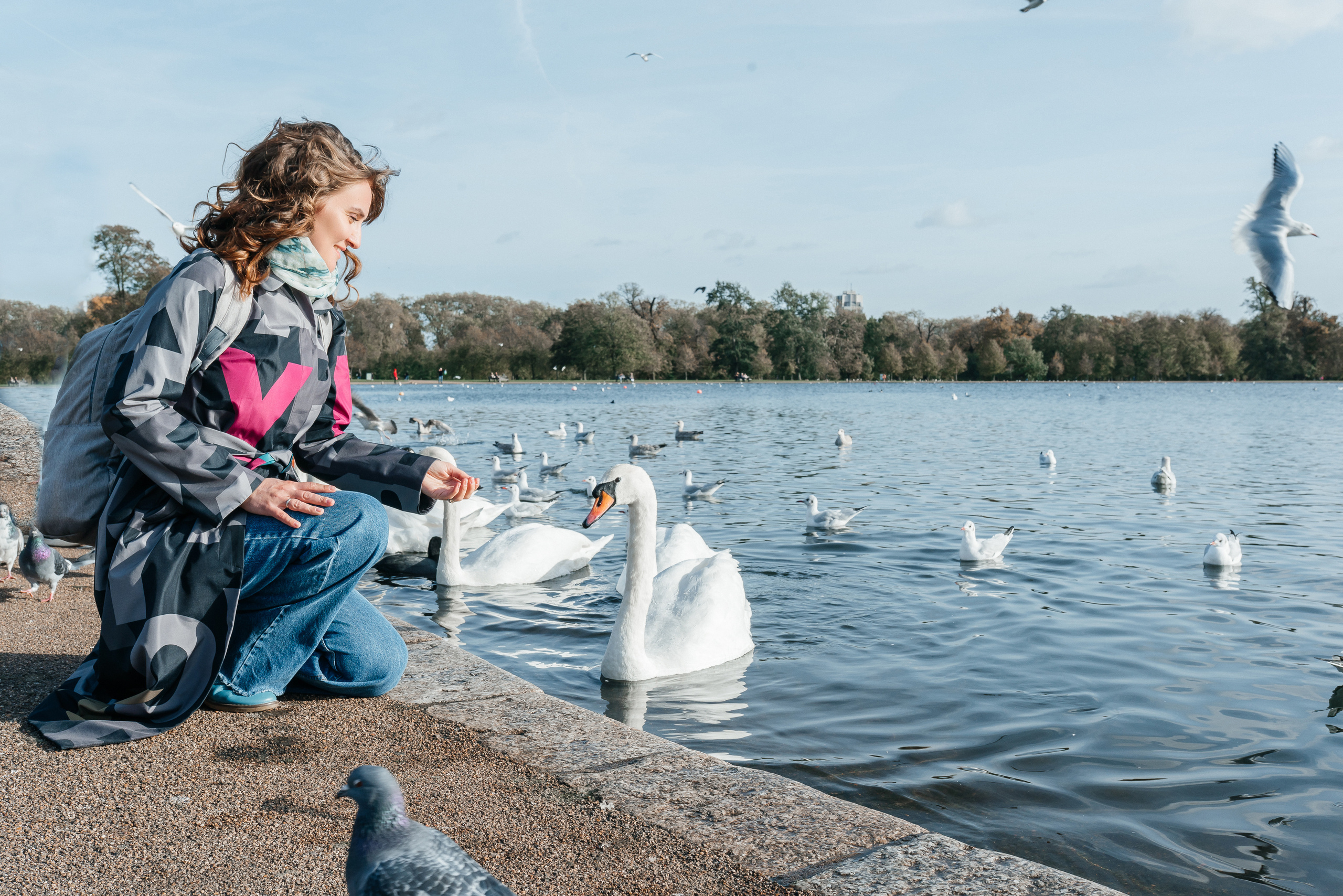 Photographer in London, photo shoot in London, outdoor photo shoot in London, Swans at Round Pond Lake in Kensington Garden