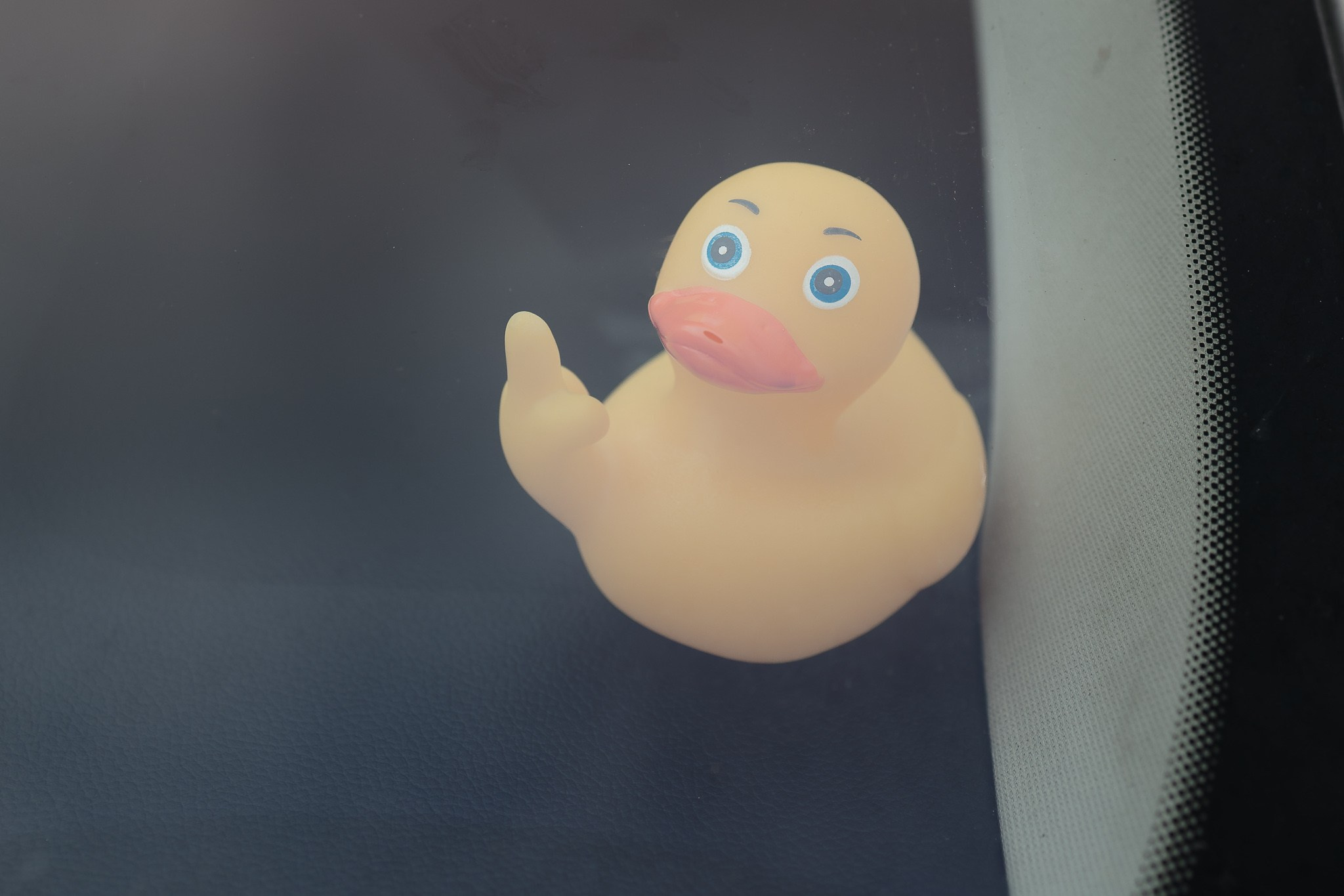 Optimism. FotoACTIV.ro - Imaginea ta contează