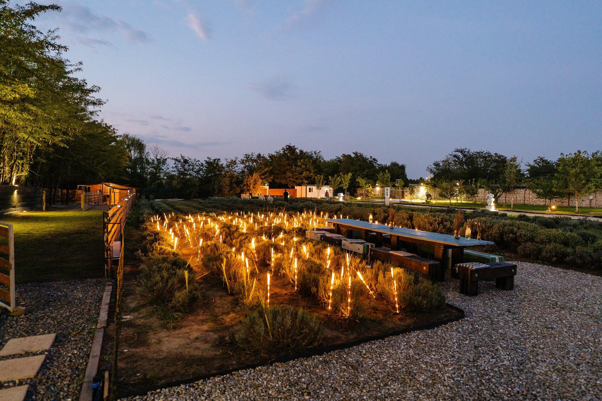 Fotografie Imobiliară Profesională | Birouri & Spații. Fotograf Corporate Business