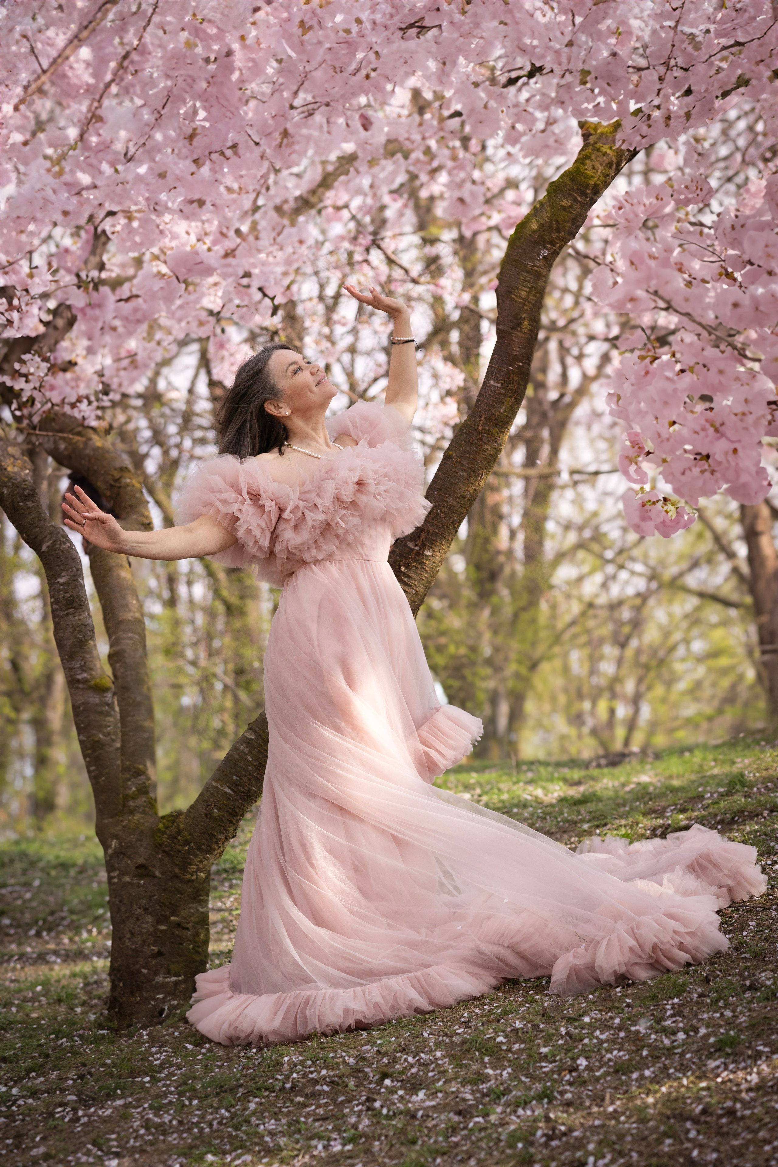Sakura. Photographer in Munich