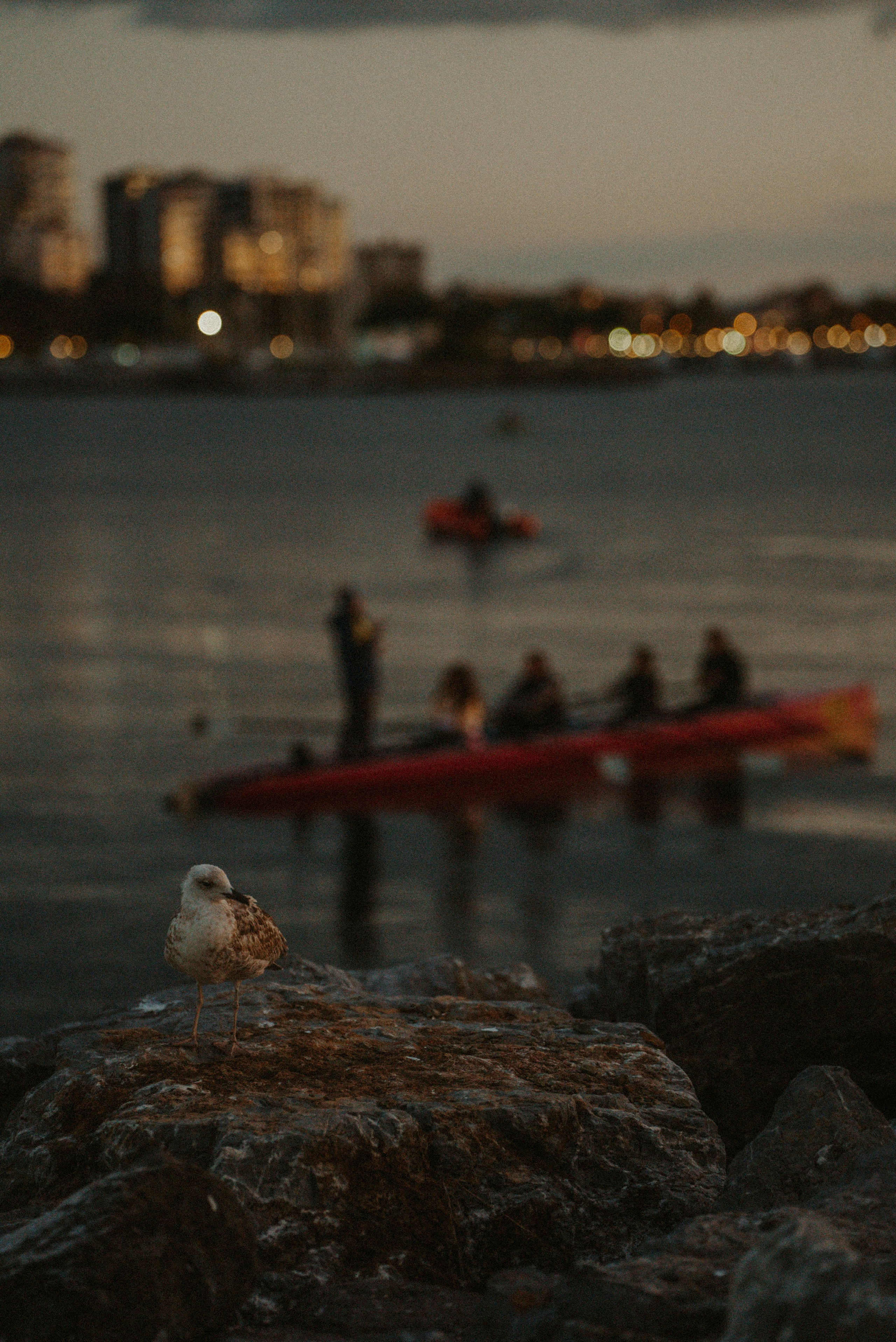СТАМБУЛ. Стрит-фотография, полная абсурда, идиотизма и красоты