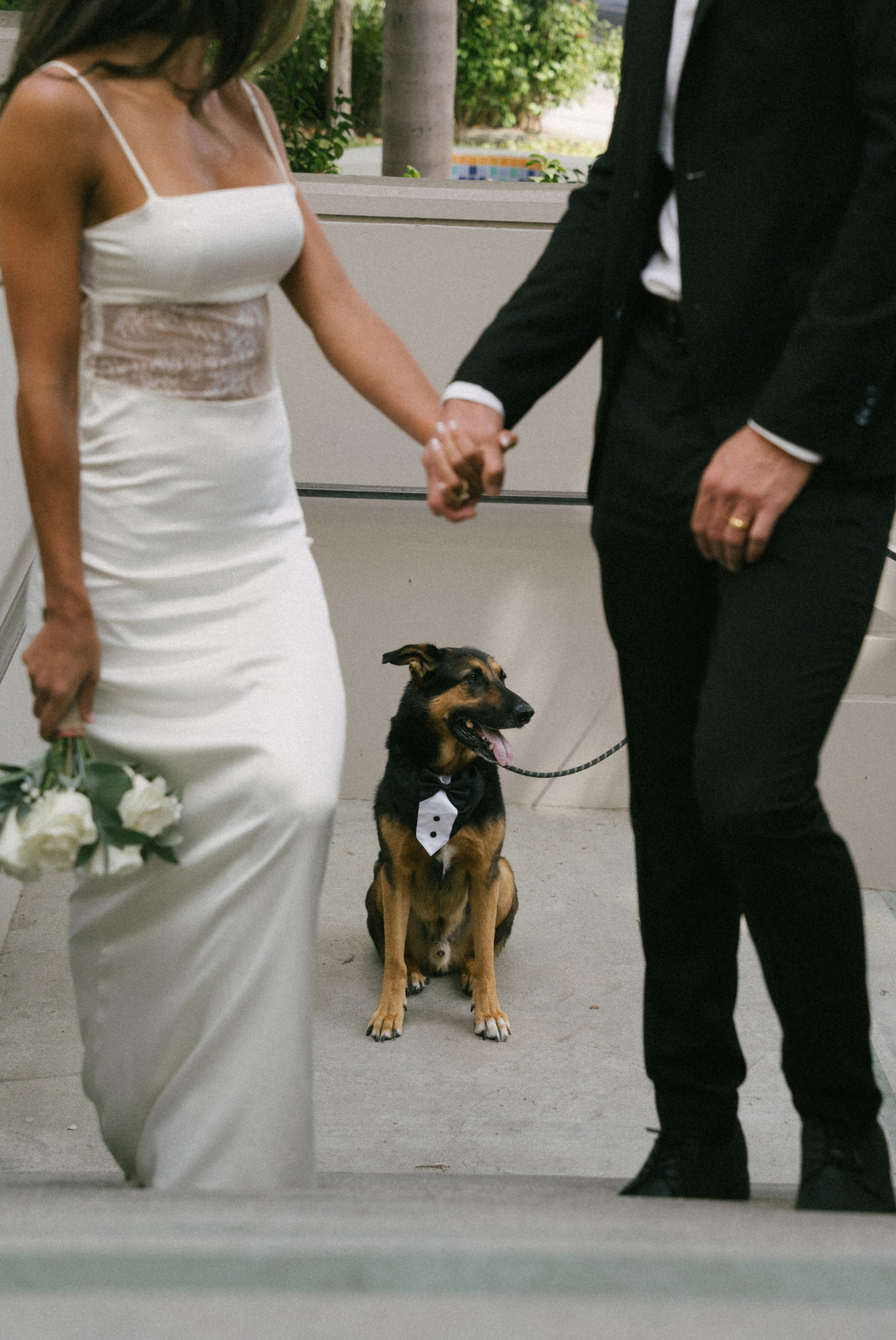 Jamie & Gareth. Beverly Hill Courthouse Wedding. Santa Monica based photographer Kristina Vasilenko