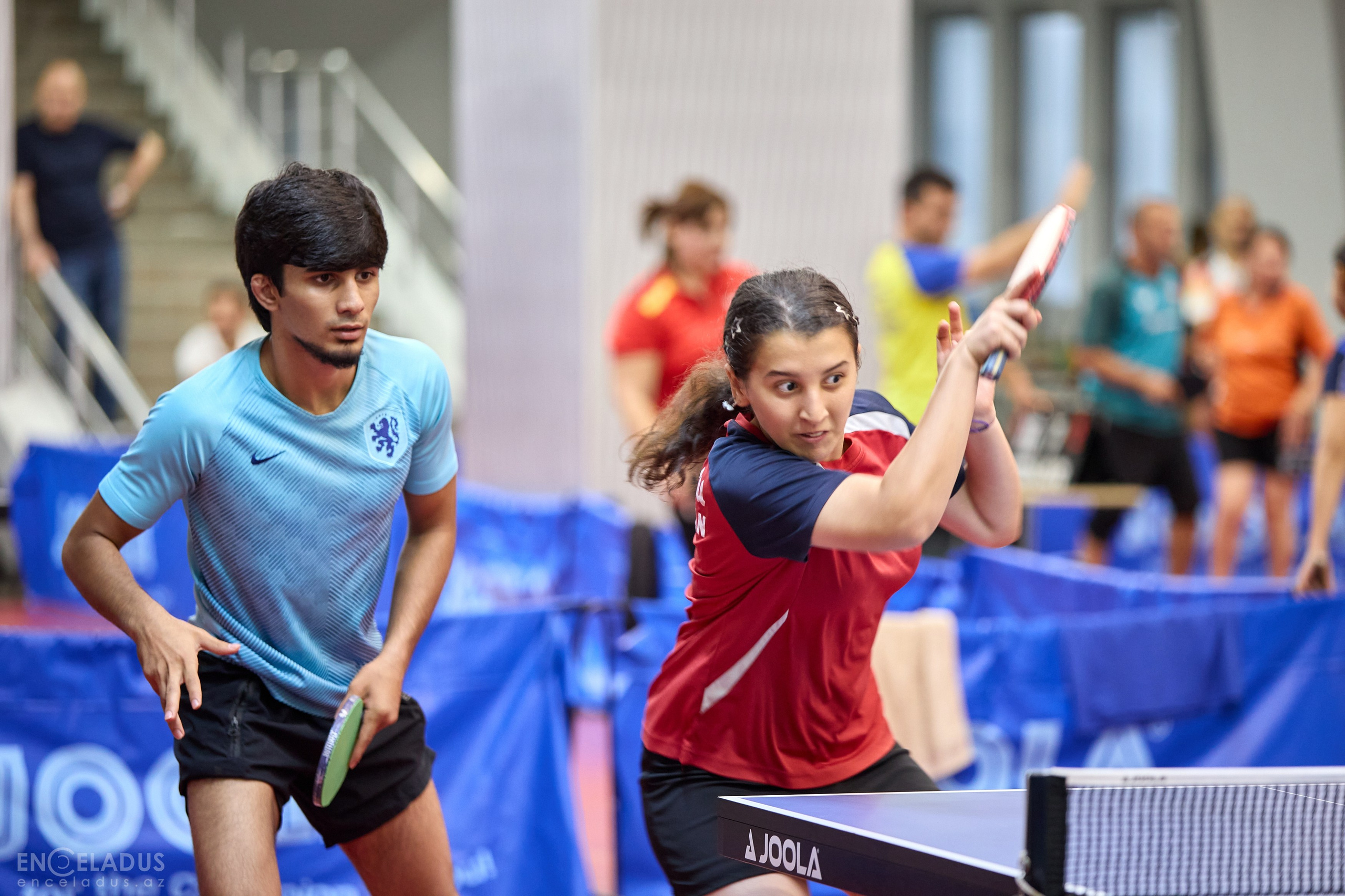 Table Tennis. Mix Tournament. Фотограф в Баку Kamran Enceladus