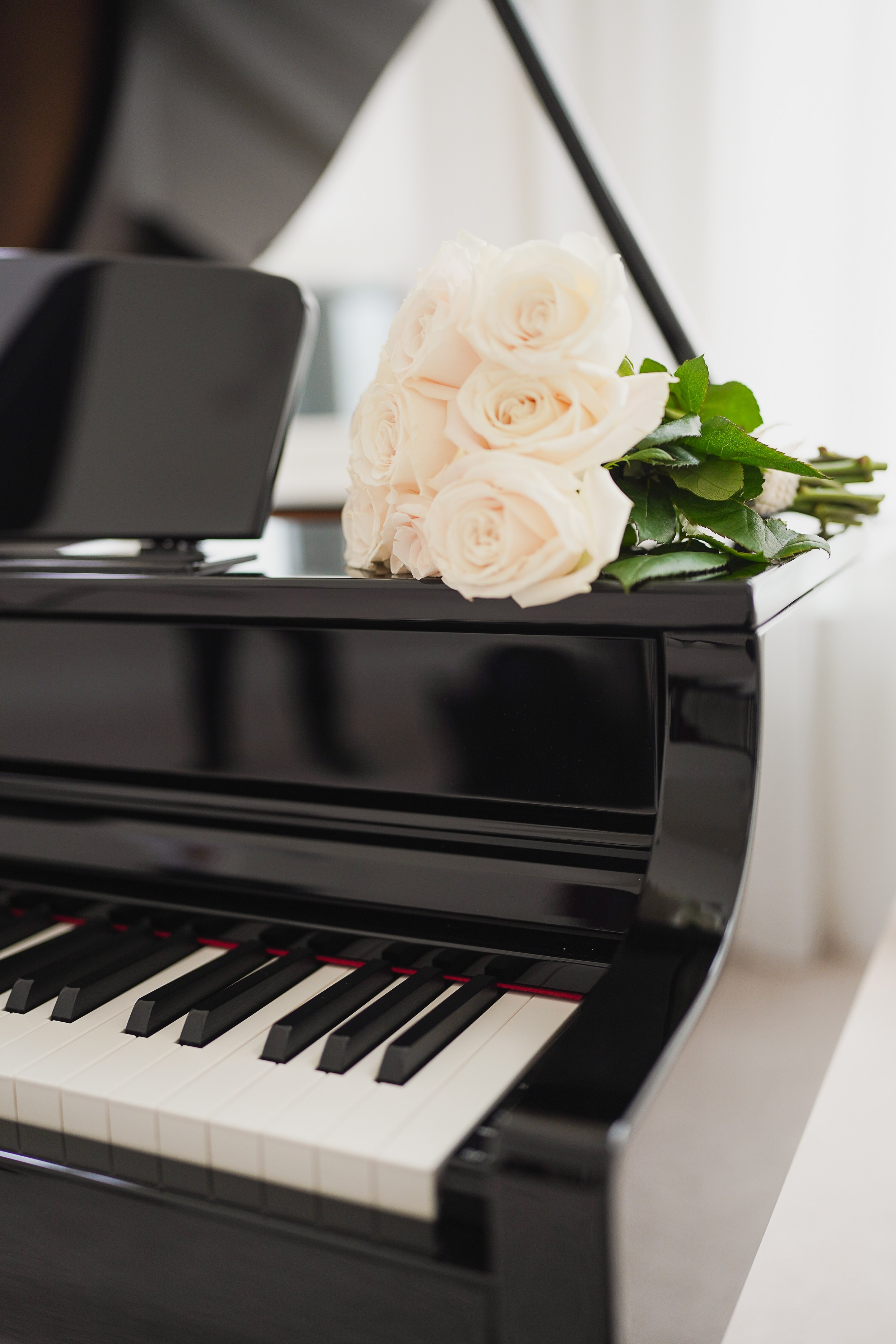 Family / Wedding / Quinceañeras. Main