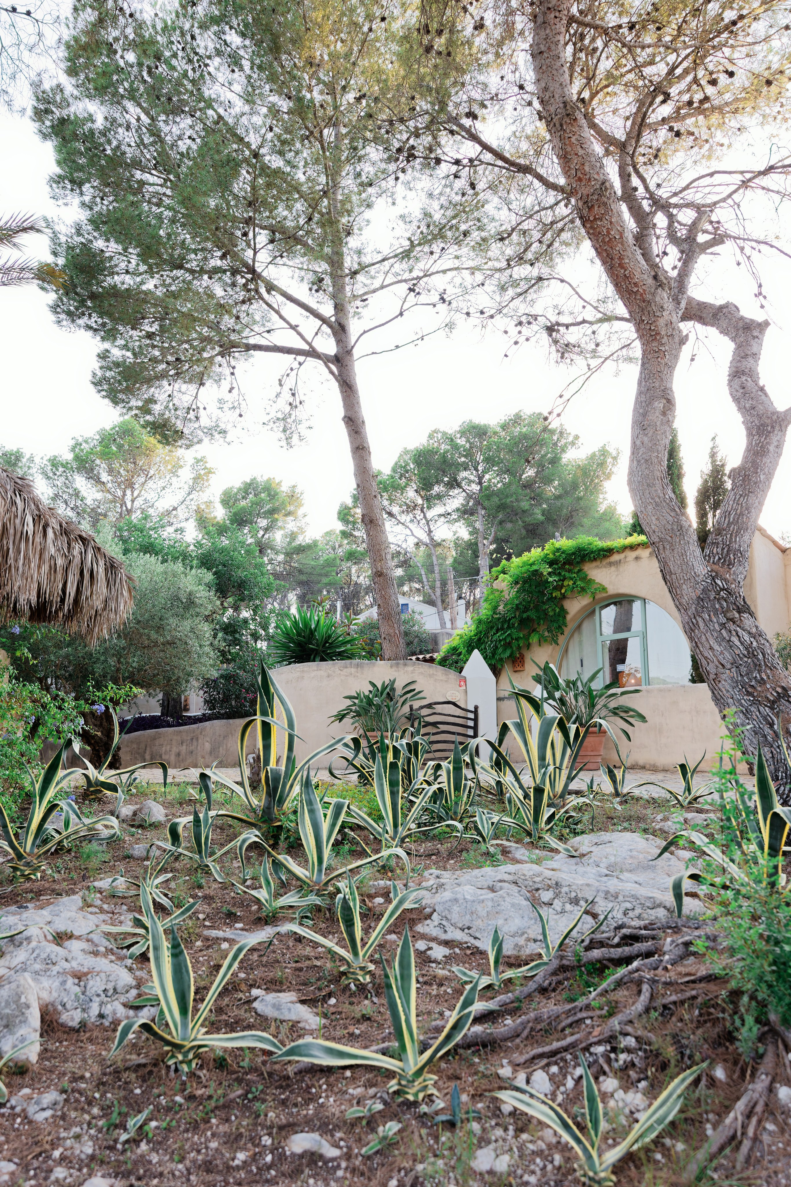 Haldi Ceremony & Mehndi Night & pre-wedding dinner, Barcelona