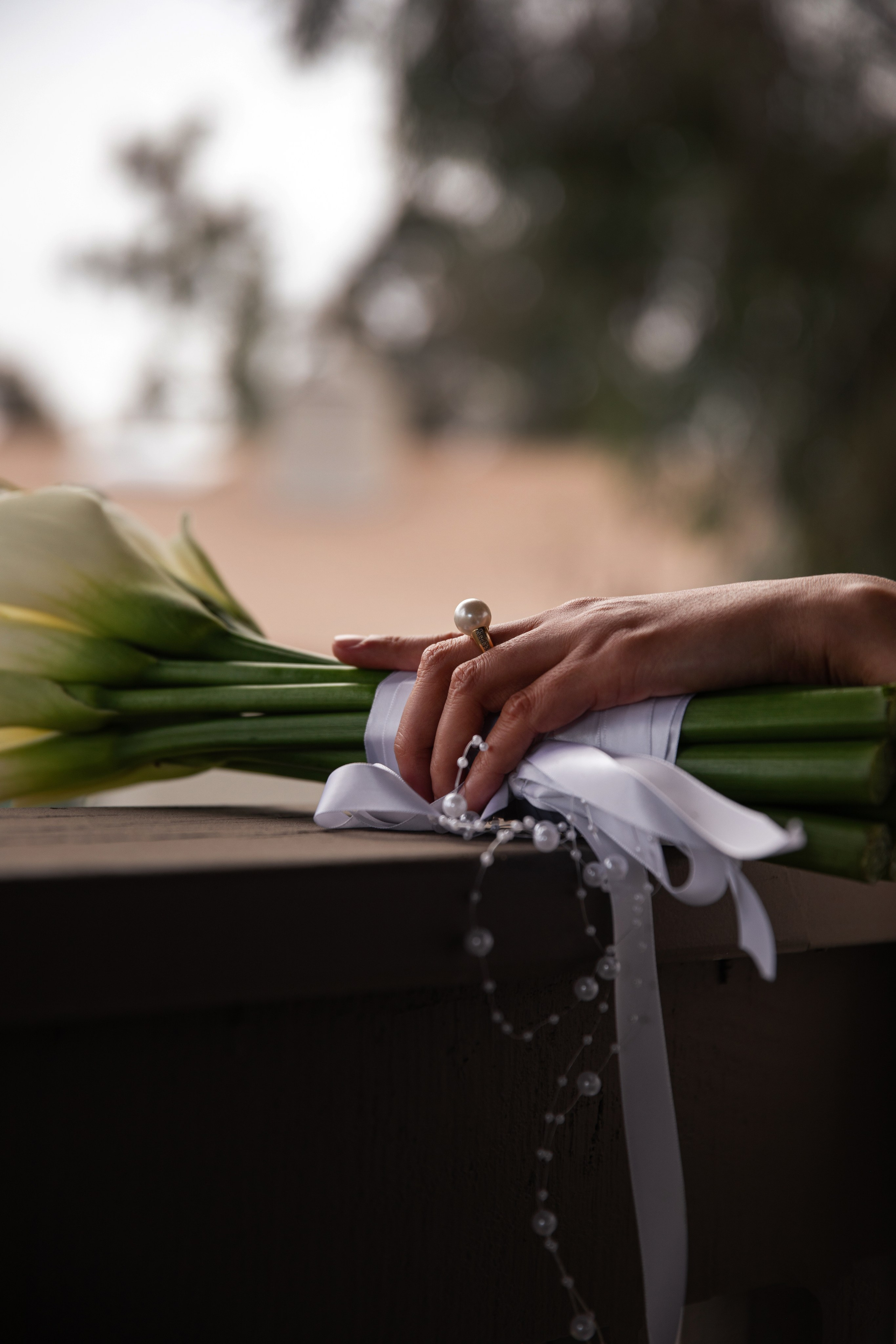 Wedding Photography. Photographer San Diego