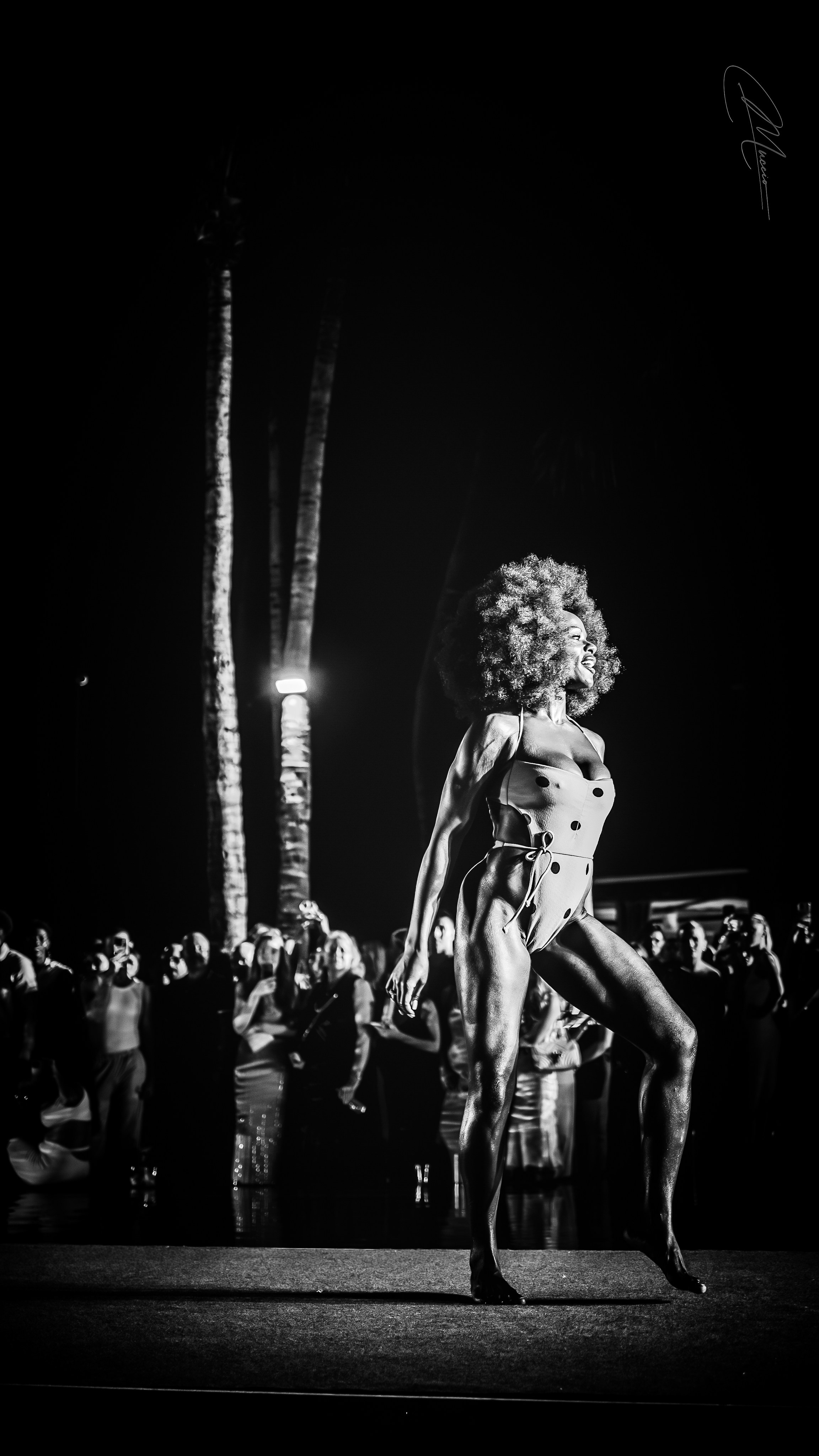 Runway Noir Series. Out and About 239