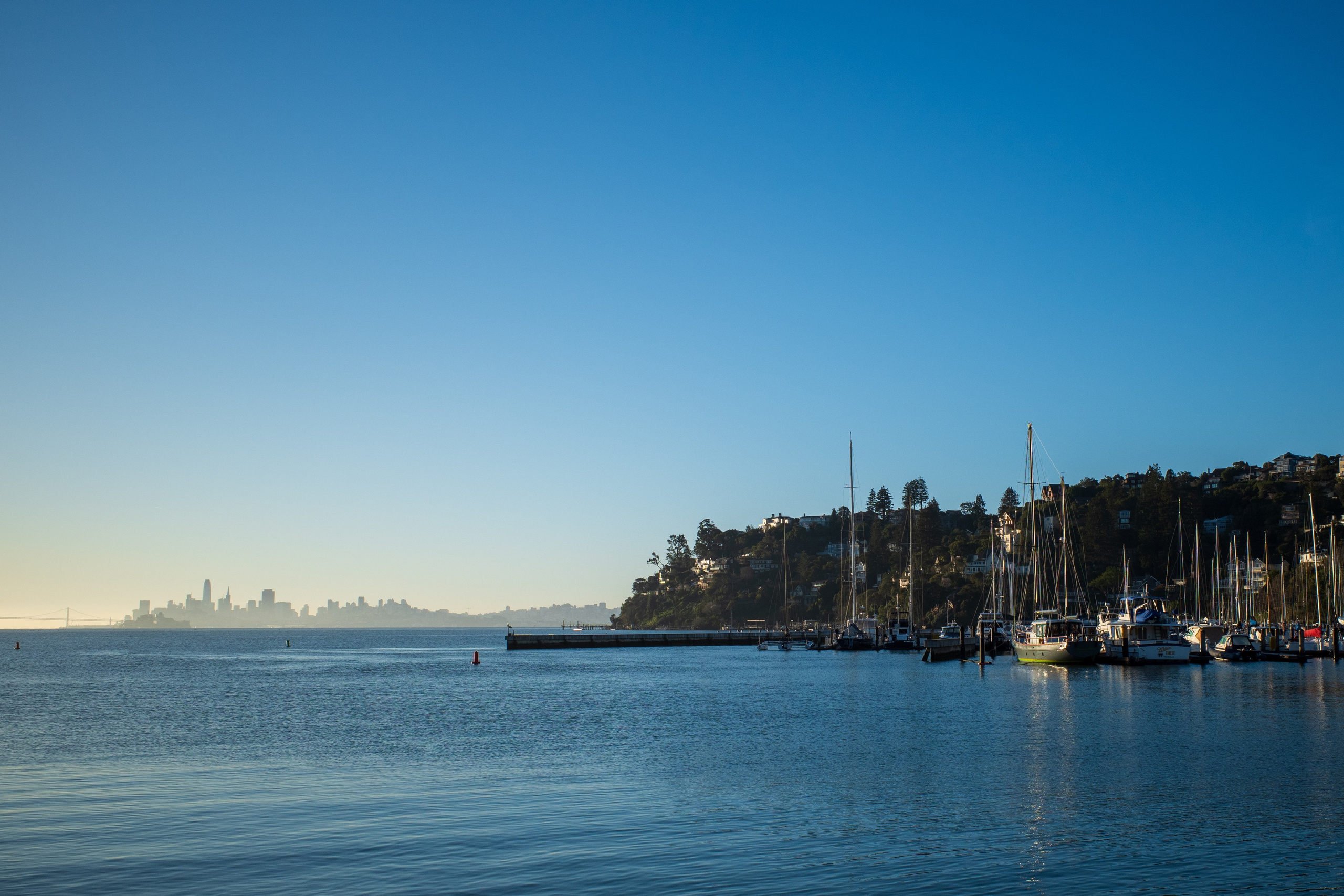 San Francisco. Aleks.photo | Book a photoshoot