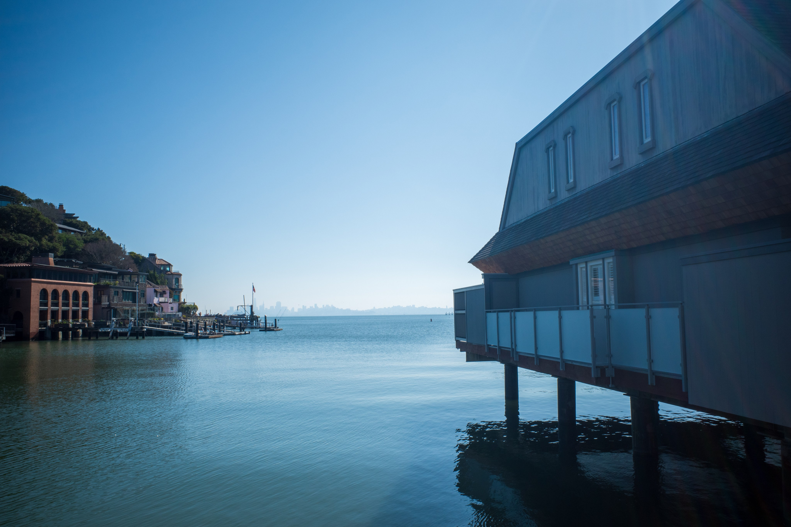 San Francisco. Aleks.photo | Book a photoshoot