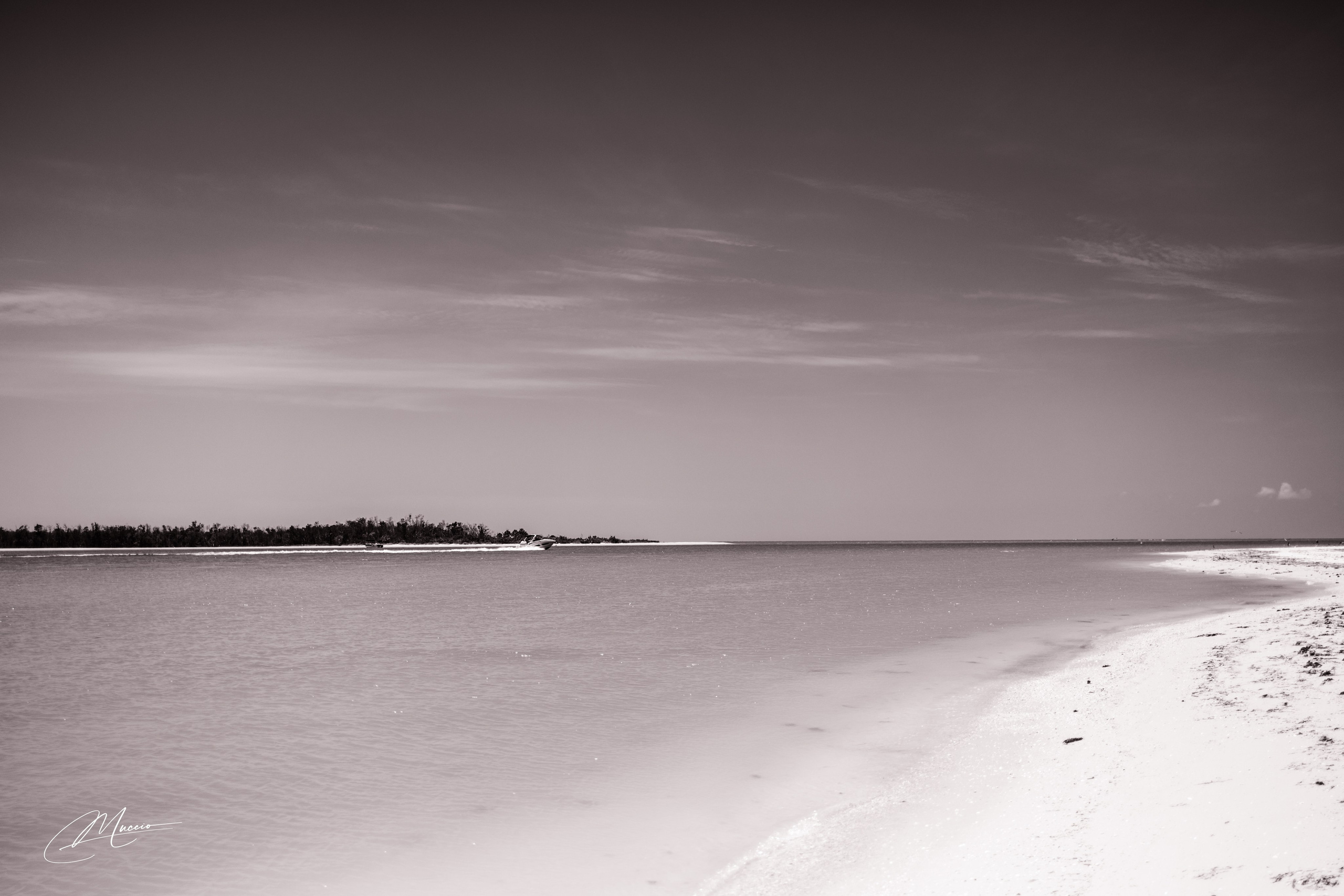 Florida Man — Fort Myers Walkabout. Out and About 239