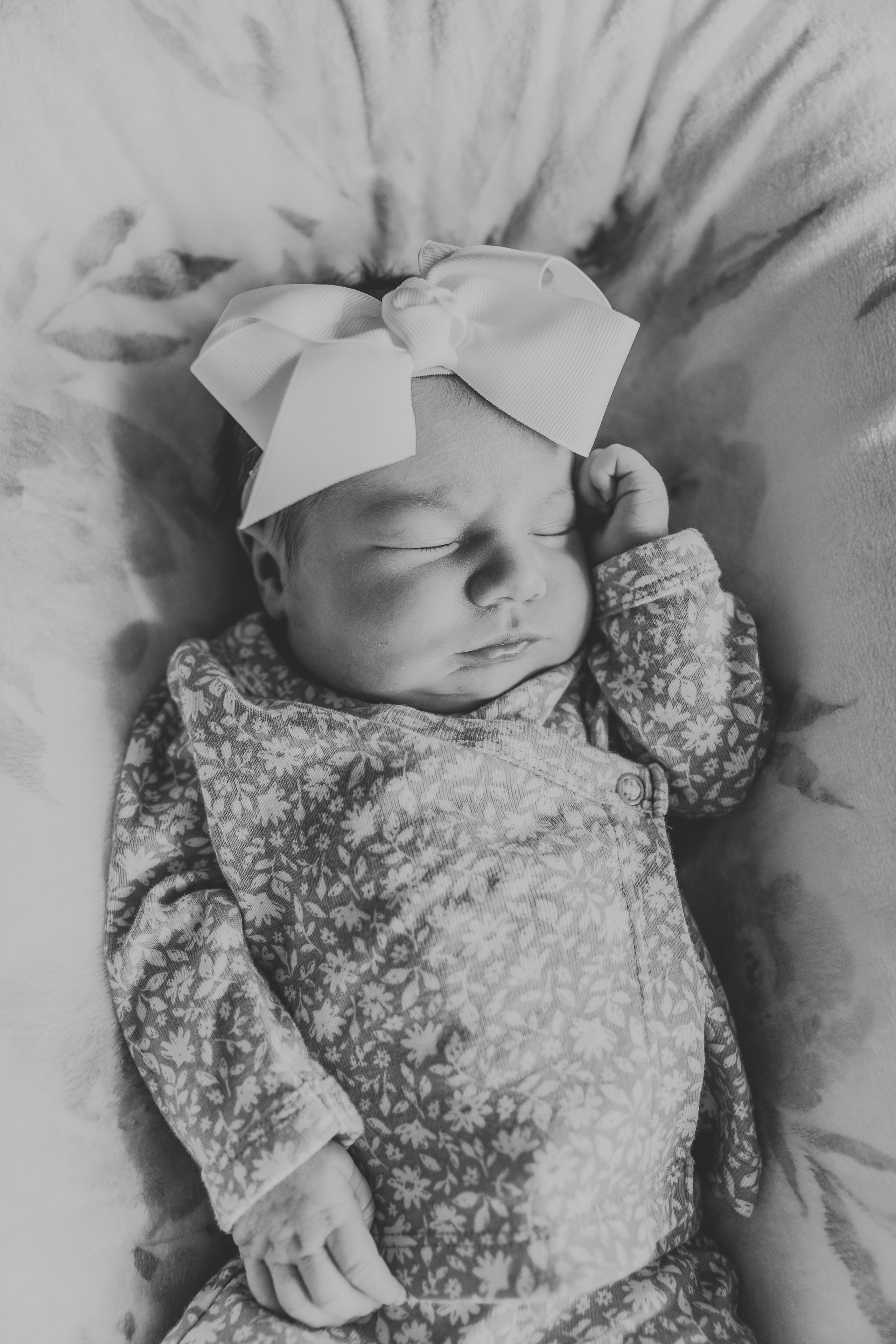 Newborn | In Home. Utah Family Photographer