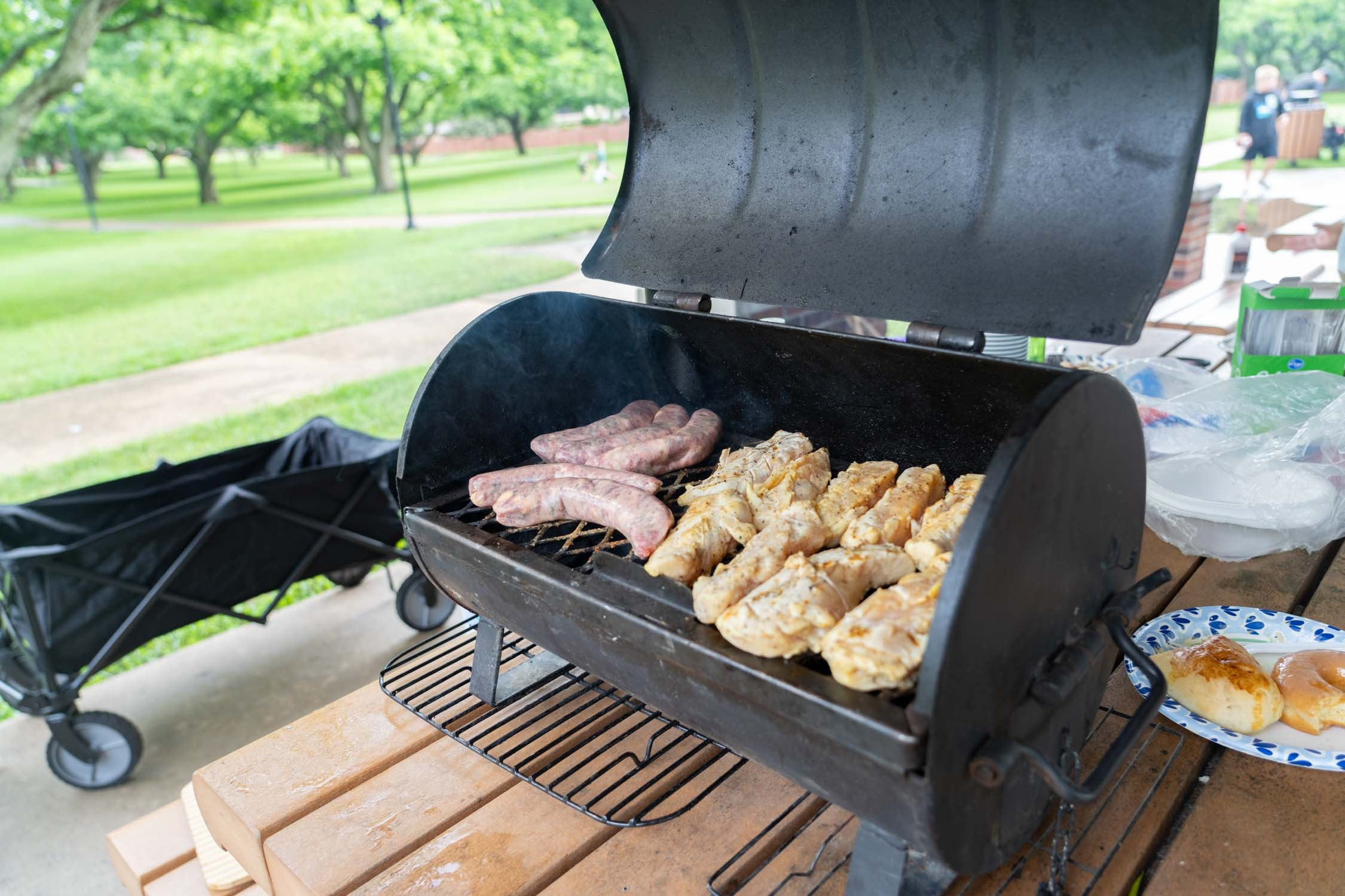 Easter picnic. Photographer Irina Kozhemyakina. Houston