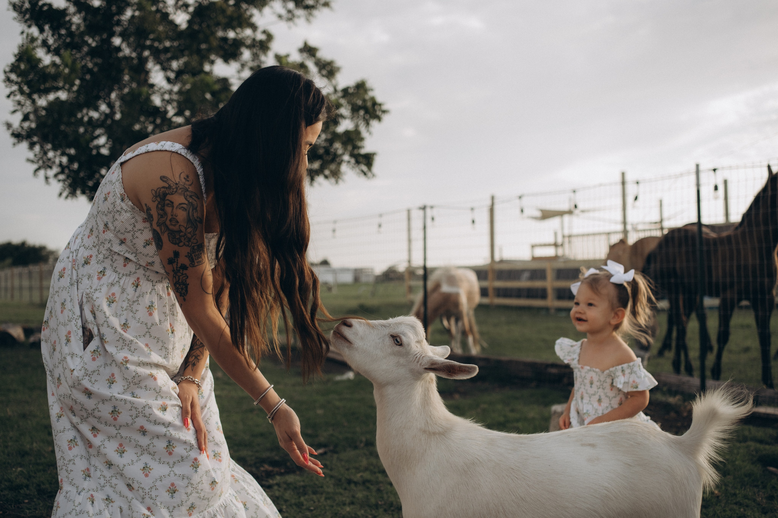 Summer Moments. Lens Captures Life