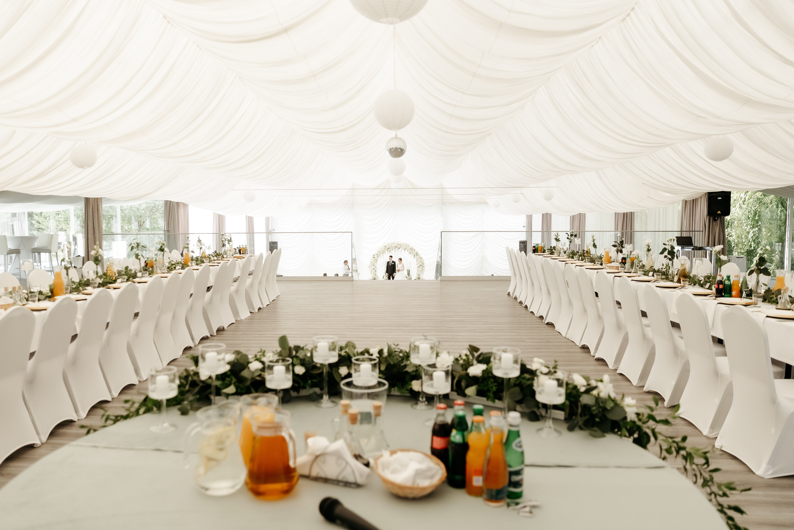 Аліна та Давид. Ірина Терещук