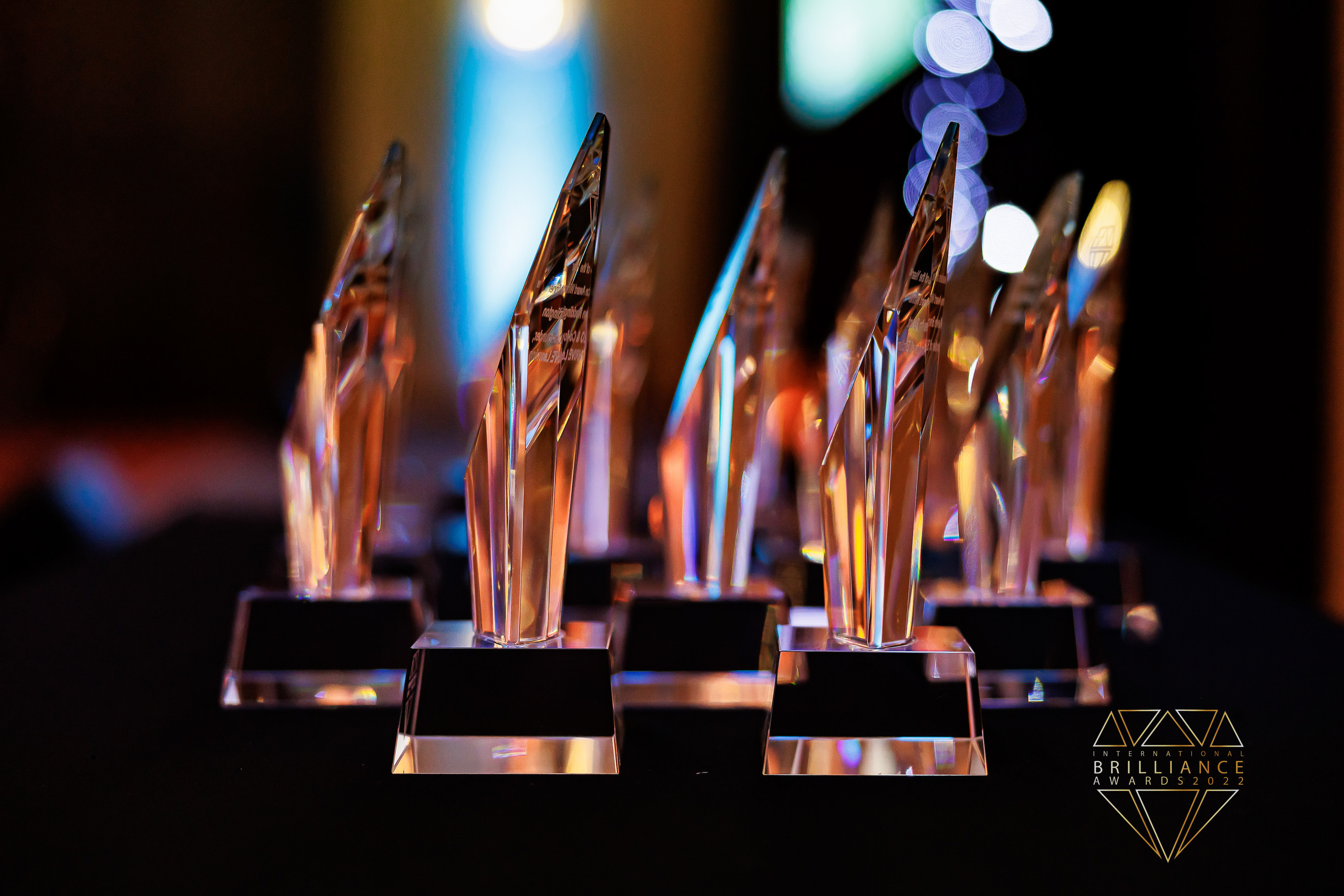 BLUE OCEAN BRILLANCE AWARD. Professional garden design and photography services in London