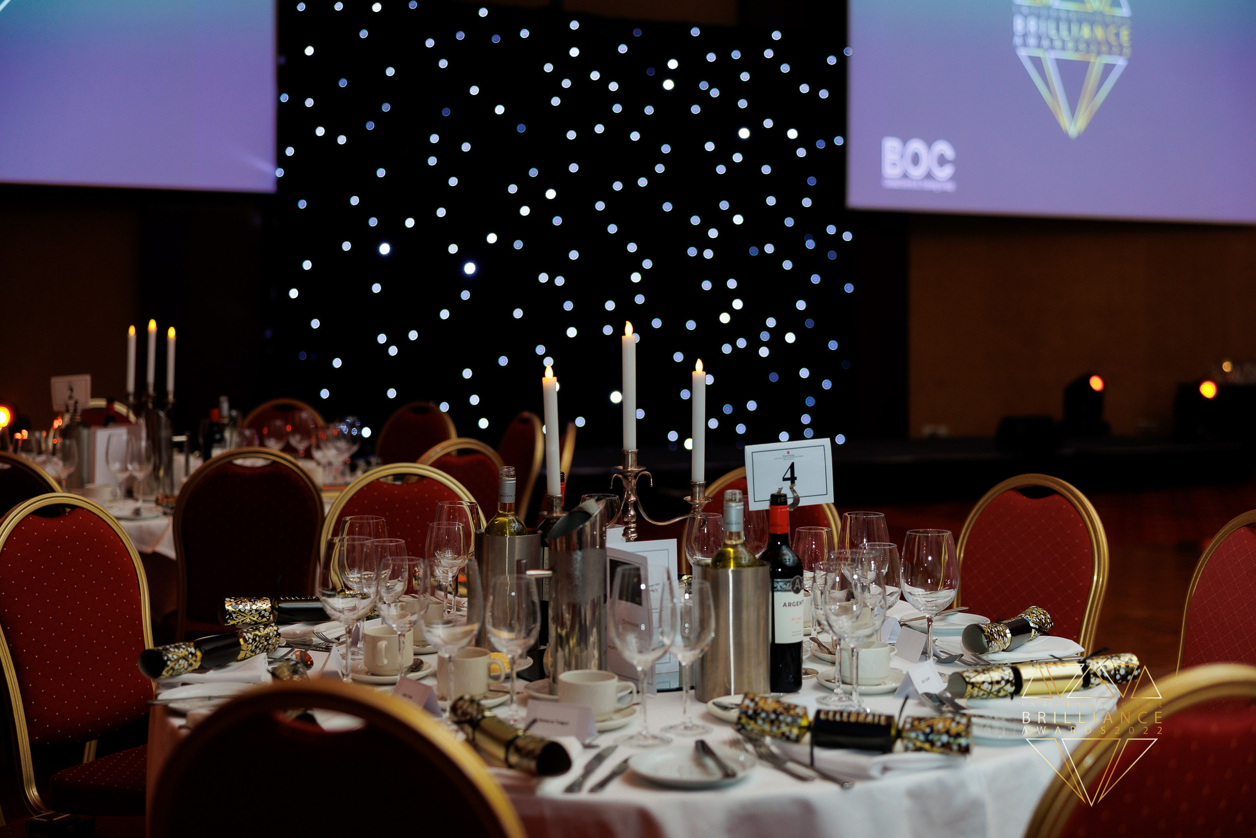 BLUE OCEAN BRILLANCE AWARD. Professional garden design and photography services in London