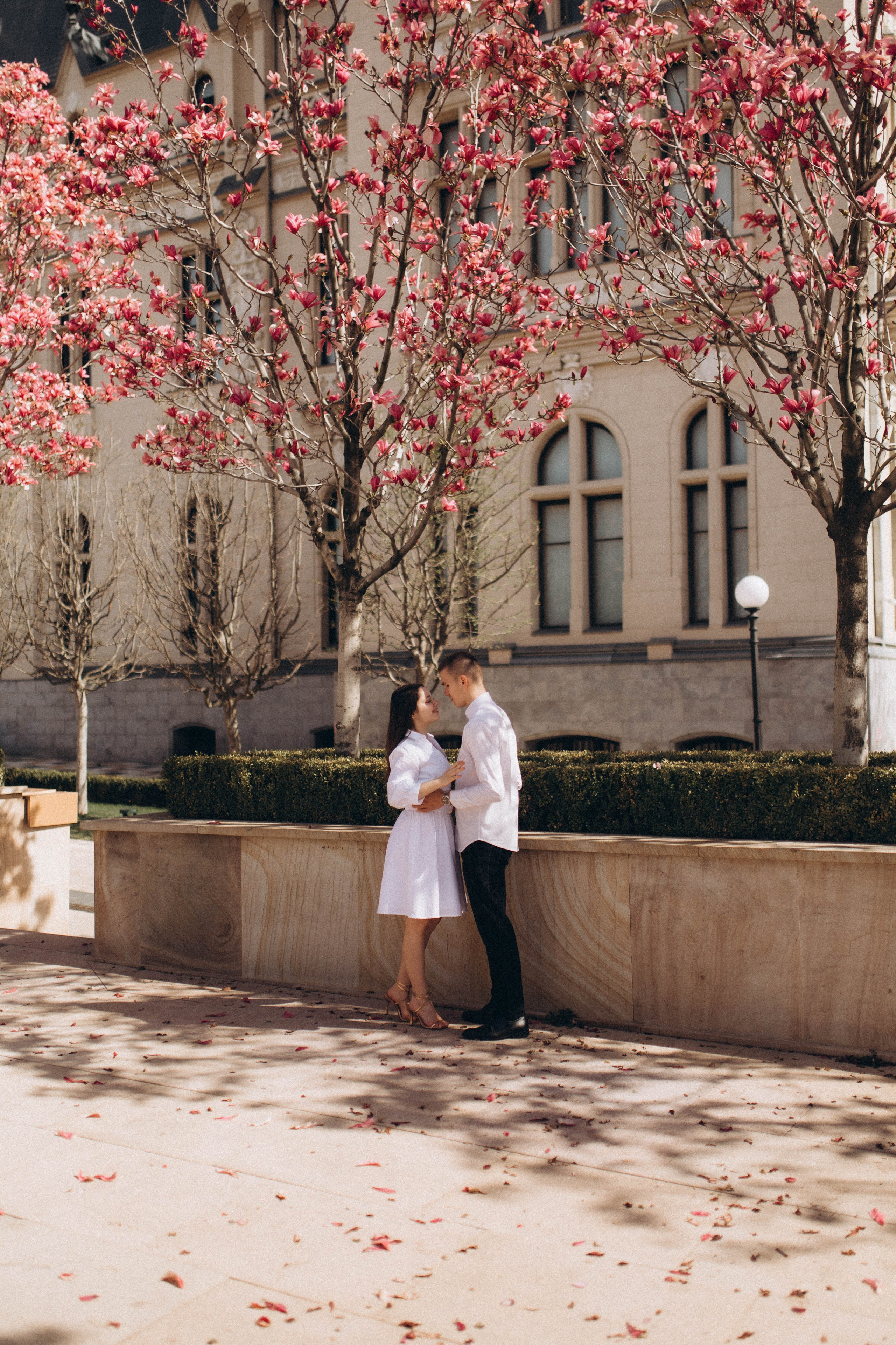 C&C. Fotograf București, România