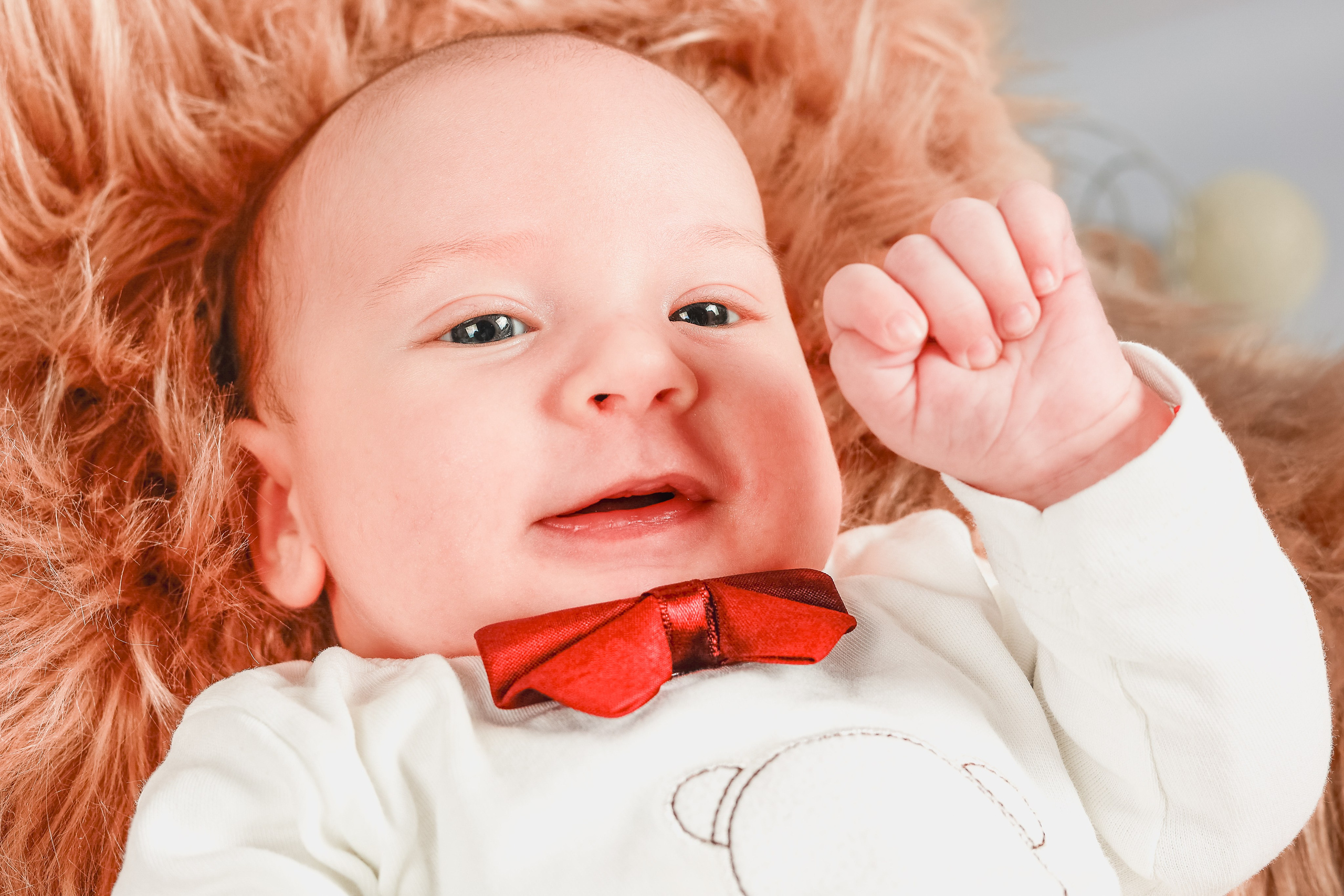 Dominic. FotoACTIV.ro - Imaginea ta contează