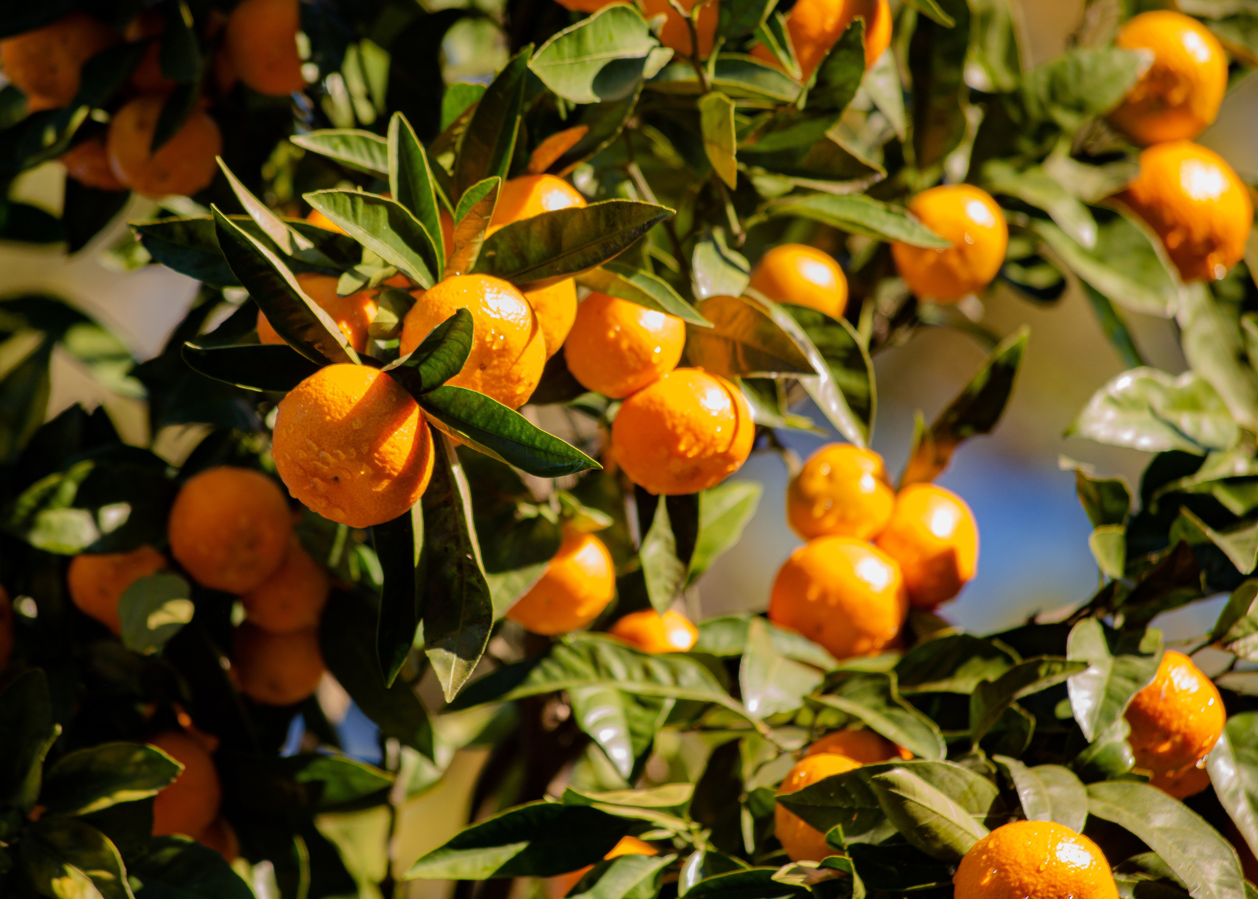 Event. PHOTOSTORYNIKA