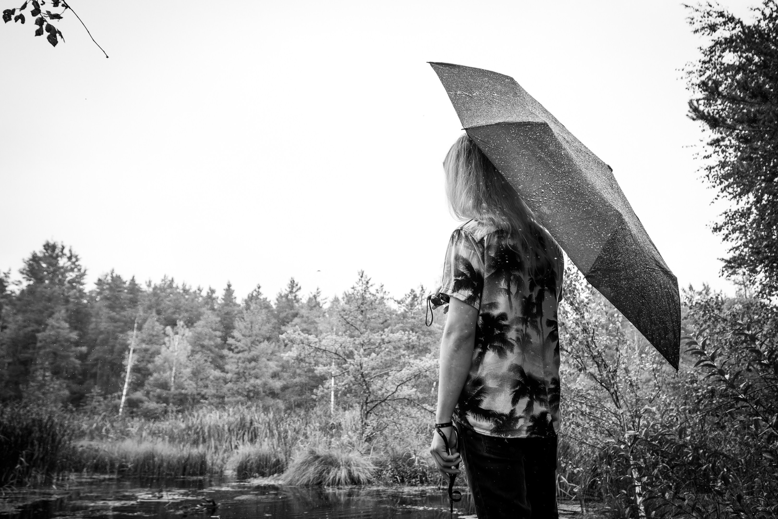 Mets, vihm ja jahedus (Dimitry). Nebula 25 — Fotod teie hingele