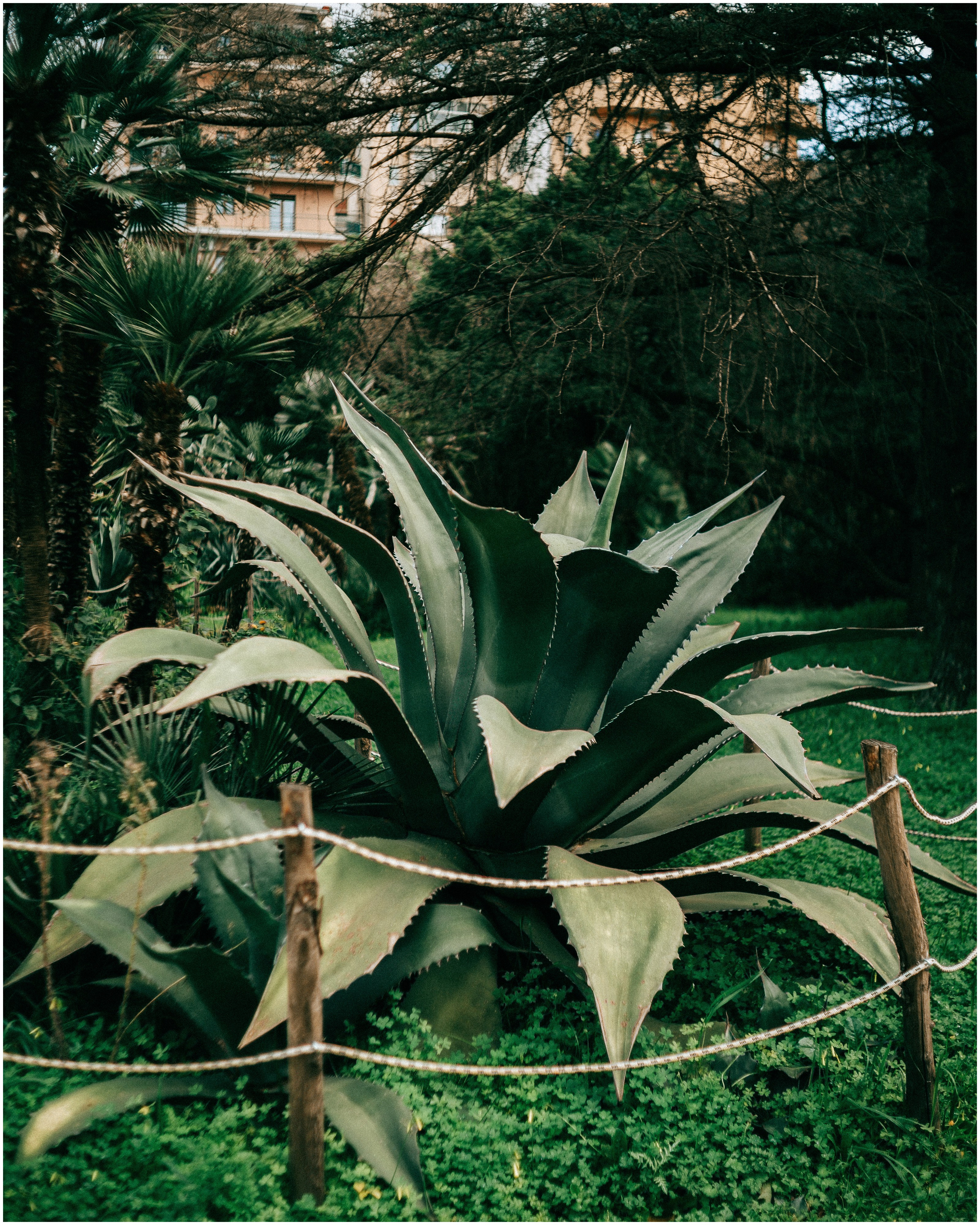 PALERMO. Photographer Inna Mendelson