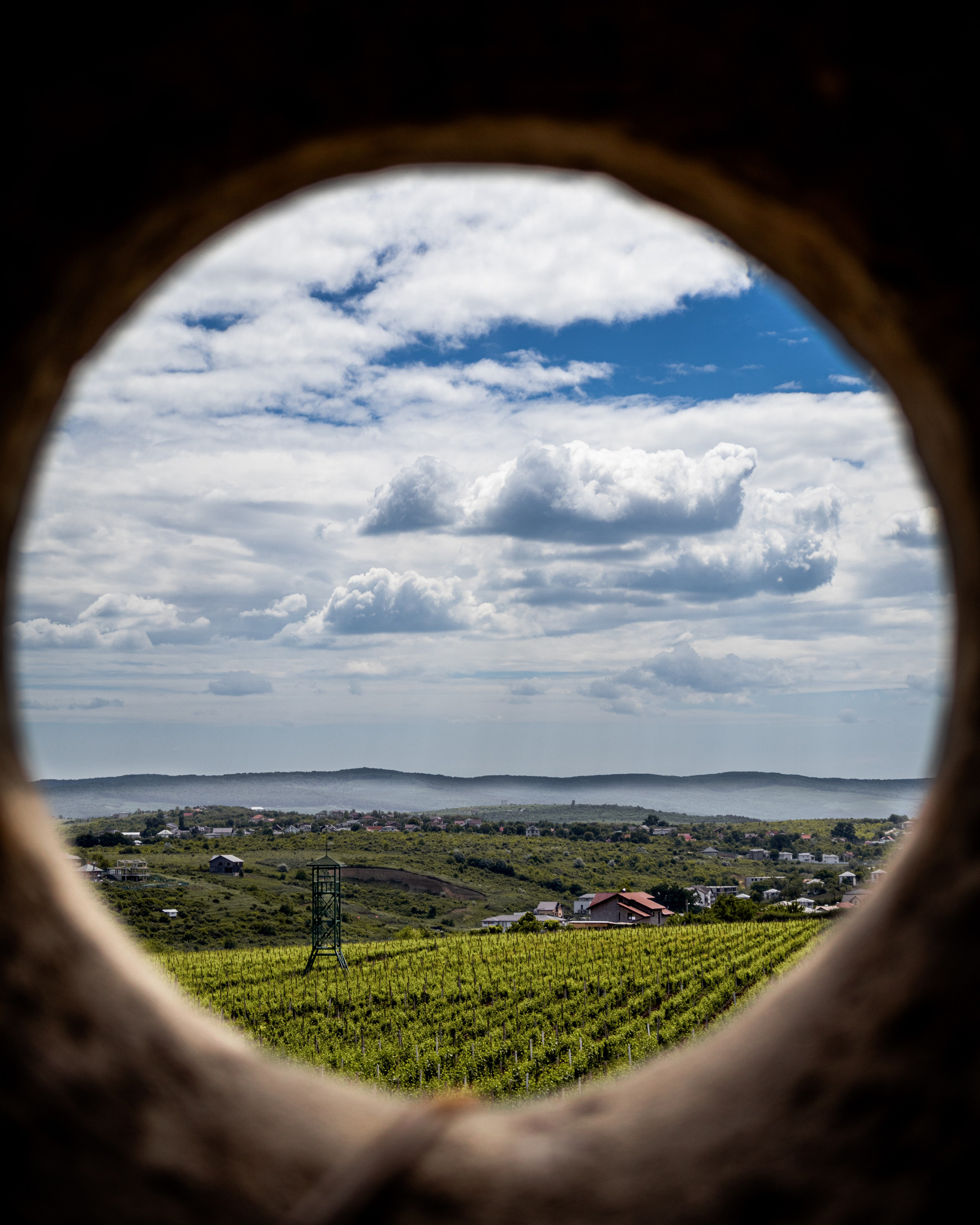 Дизайнер и Фотограф в Кишинёве Бусуйок Станислав