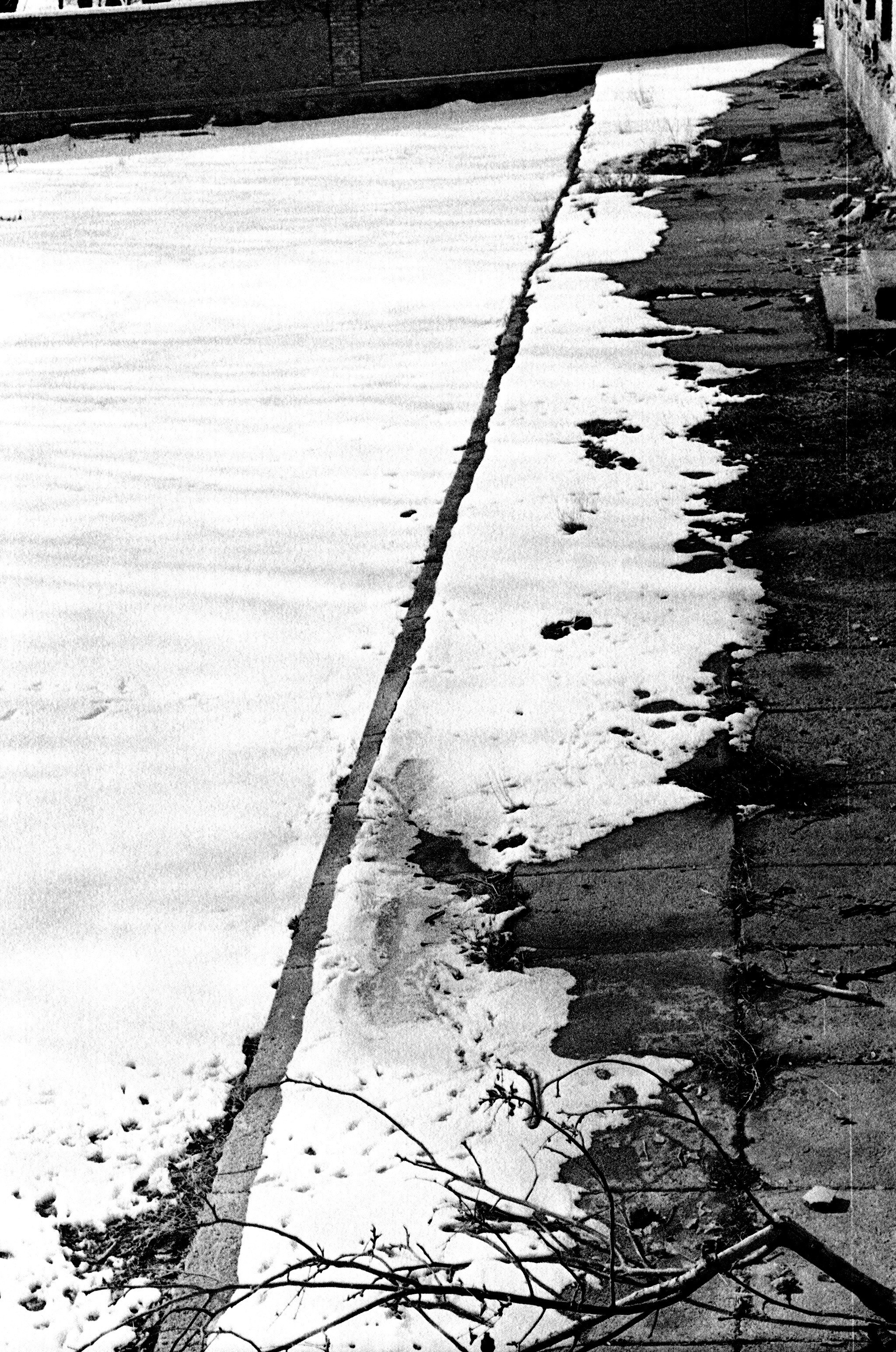 Personal Photography. Arman Milani, Brand-Focused Video Production & Content Creation, Based in Berlin