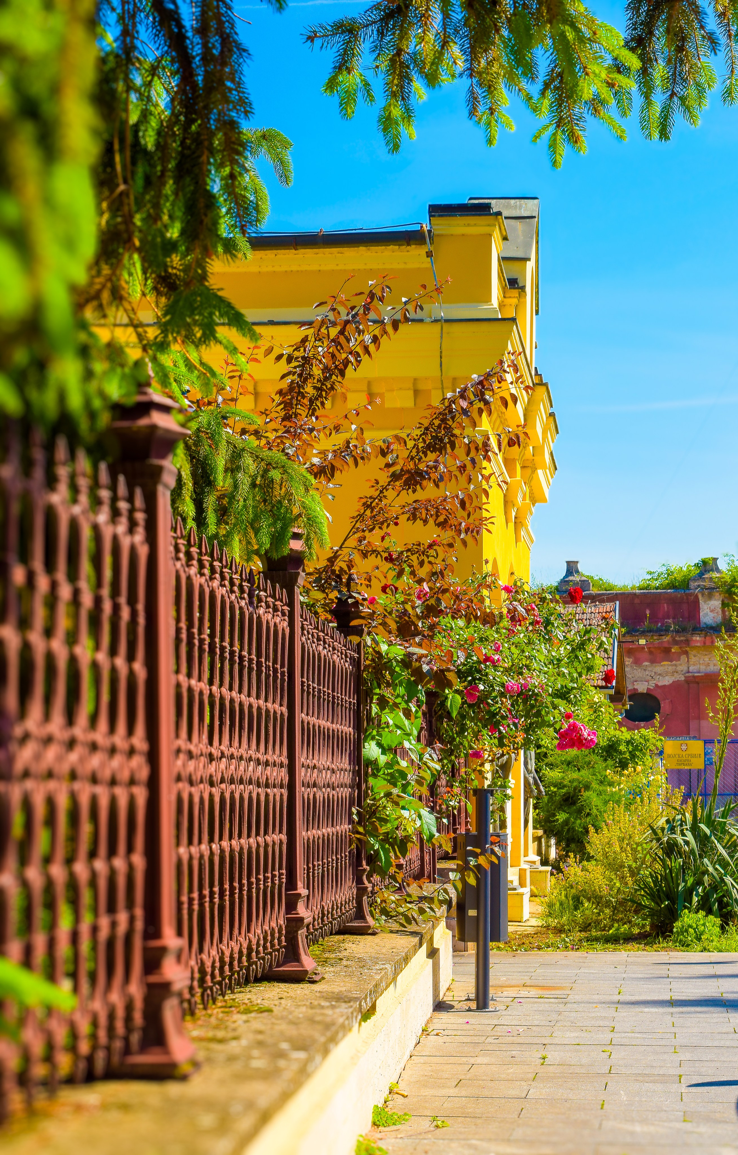 Петроварадин - галерија на продају. Викторија Федосеенко, фотограф у Србији