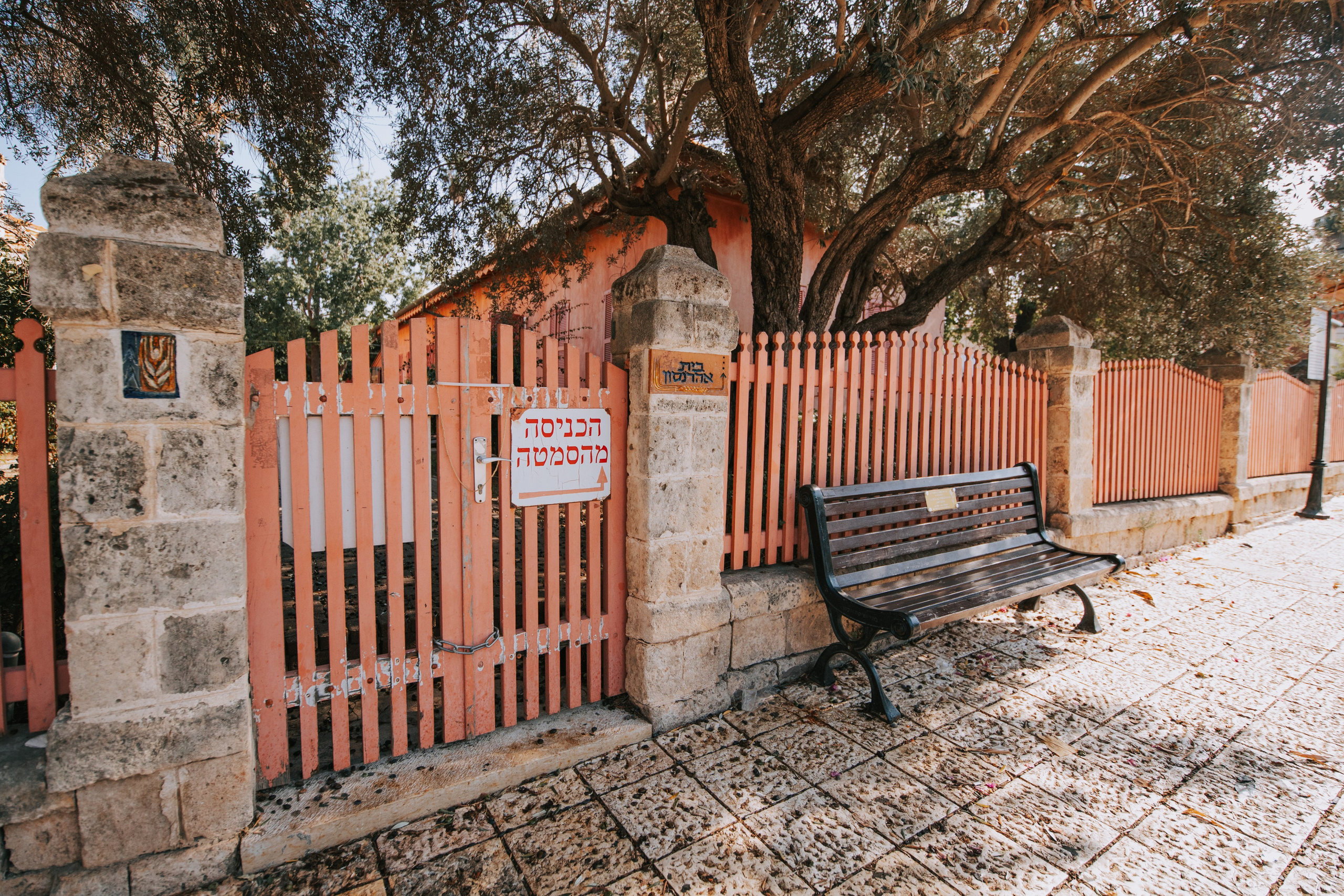 זרעי גדרה — SYNGENTA. AMIR BUCHNIK PHOTOGRAPHER