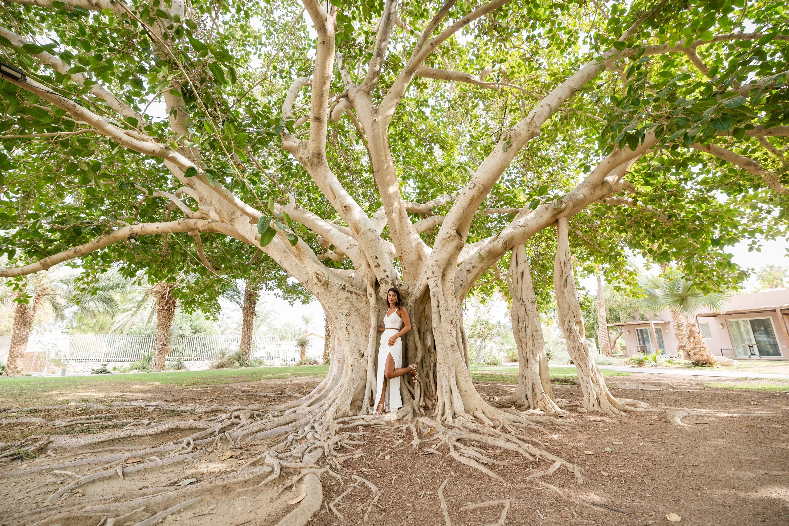 Shirley & Yoav. AMIR BUCHNIK PHOTOGRAPHER